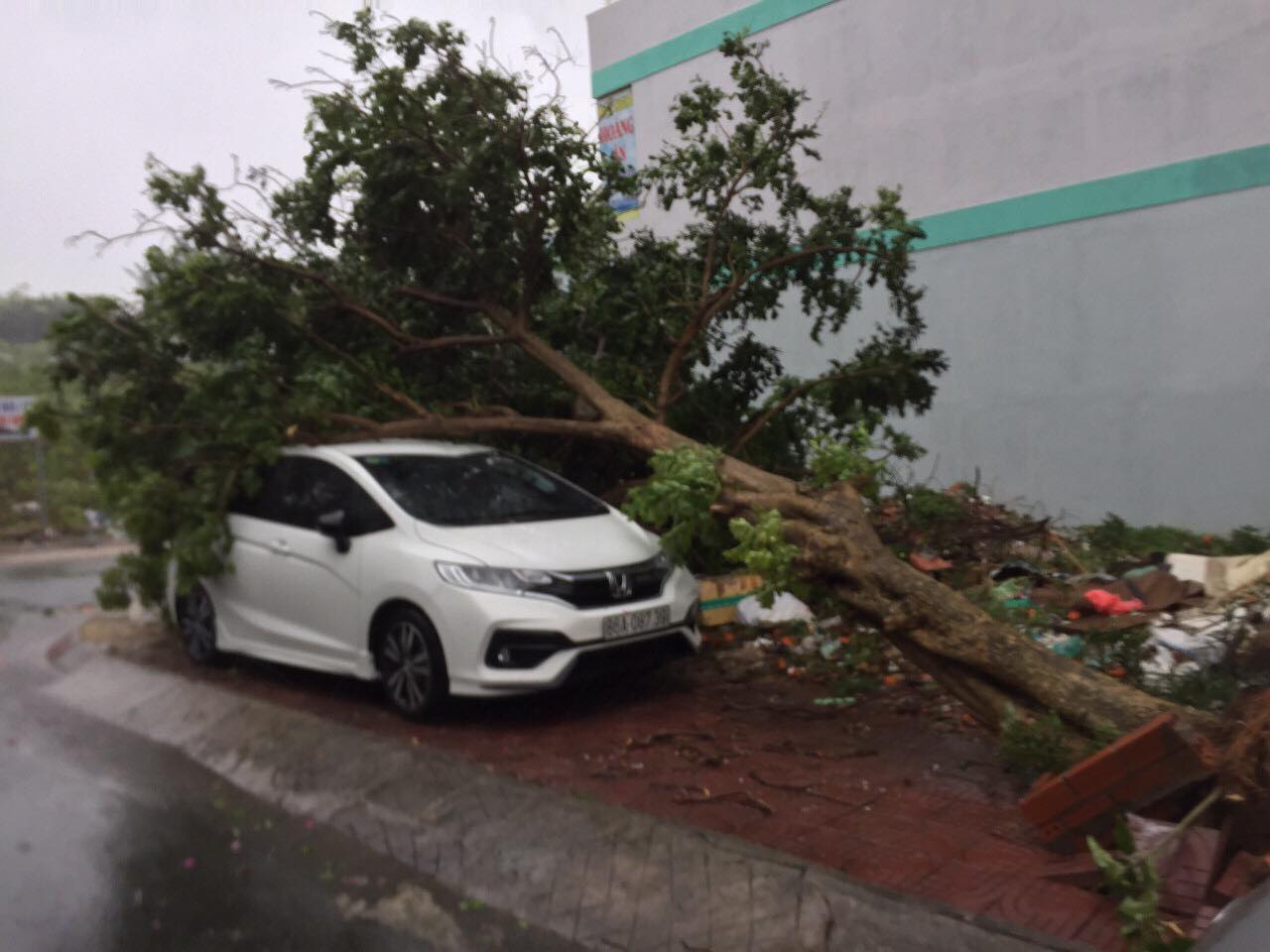 Dân sinh - Nóng trong tuần: Cô giáo Bọ Cạp phiên bản tát học sinh 231 cái, 2 nàng hậu kết hôn với đại gia    (Hình 3).