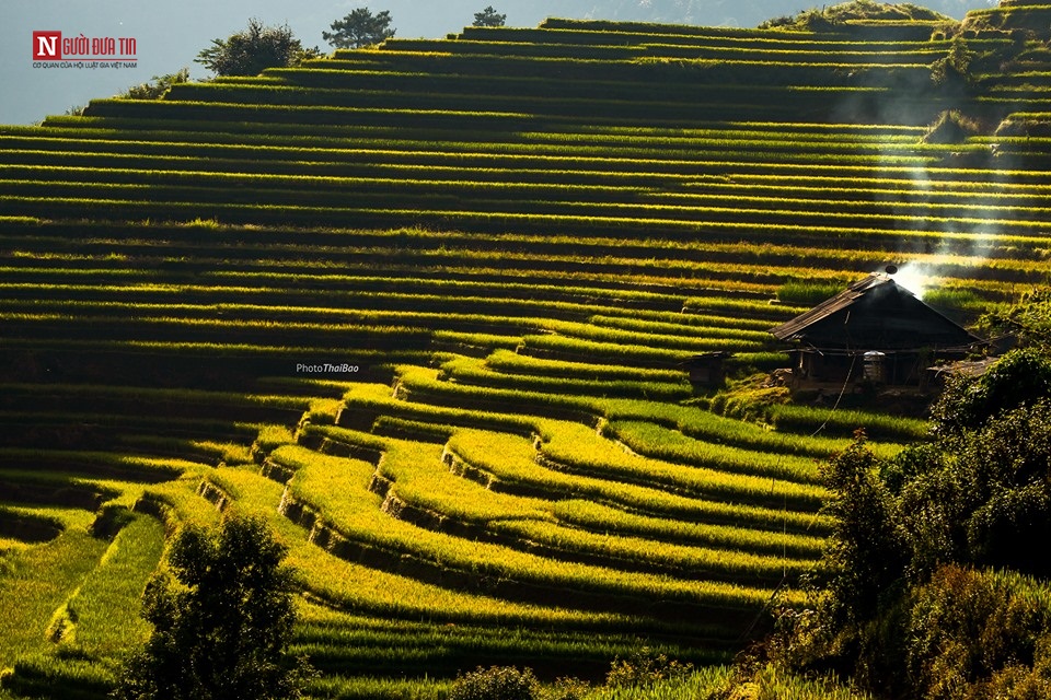 Văn hoá - Hẹn hò Sapa mùa đẹp nhất trong năm