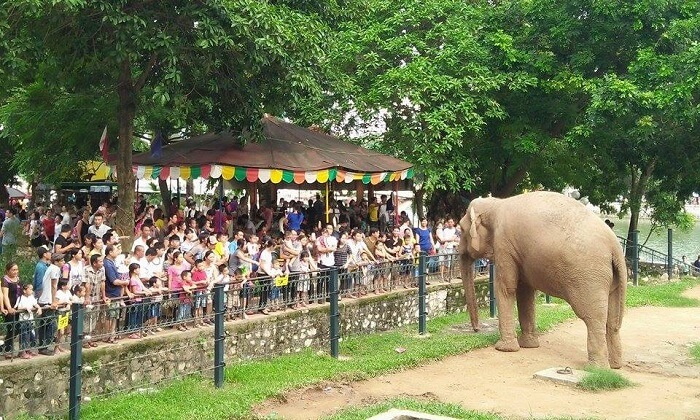 Gia đình - Những địa điểm vui chơi hấp dẫn cho bé ở Hà Nội ngày Quốc tế thiếu nhi 1/6 (Hình 10).