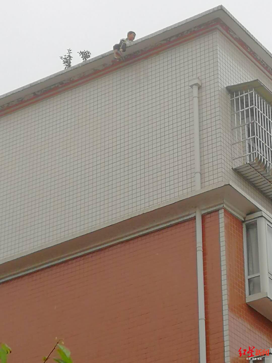 Gia đình - Lặng người trước lý do cậu bé 11 tuổi nhảy lầu tự tử