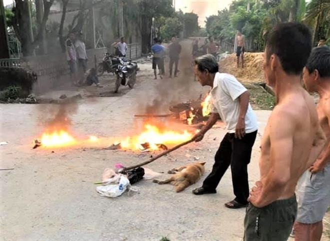 An ninh - Hình sự - Quảng Bình: Bị phát hiện đang đánh bả chó, “cẩu tặc” dùng dao tấn công người dân (Hình 2).