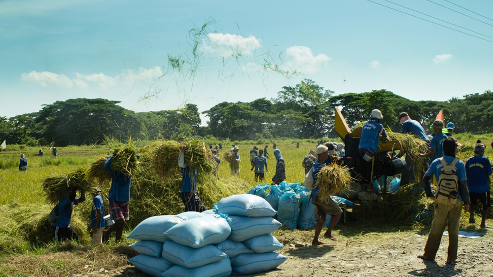 An ninh - Hình sự - 'Nhà tù không tường” ở Philippines: Địa điểm tham quan du lịch nổi tiếng, tù nhân không thèm vượt ngục (Hình 3).