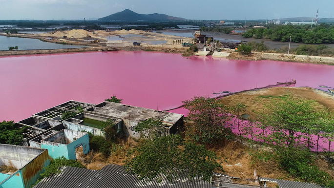 Môi trường - Đầm nước đổi màu ở Bà Rịa – Vũng Tàu: Đề xuất phát triển du lịch