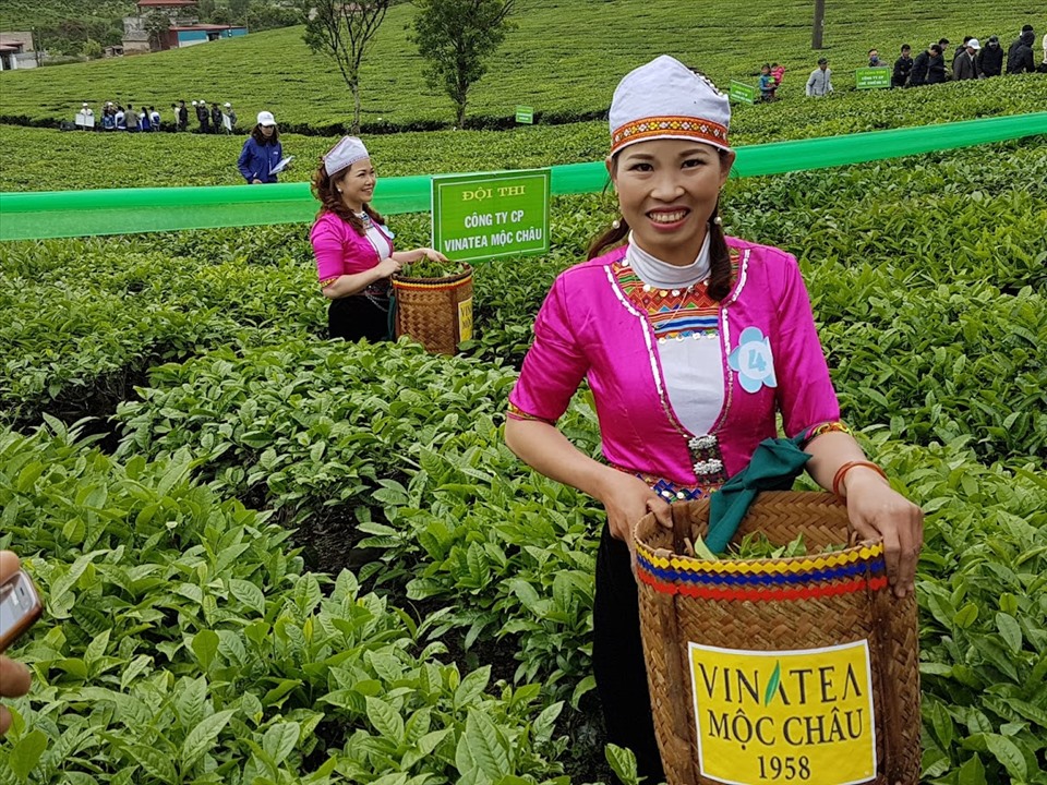 Kinh tế vĩ mô - Du lịch nông thôn: Mở 'cánh cửa thoát hiểm' thời đại dịch (Hình 2).