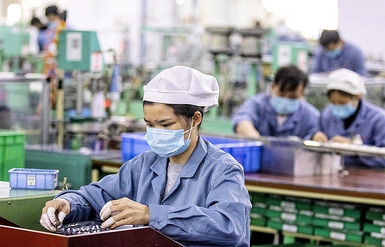 Kinh tế vĩ mô - Năm 2021: Thu nhập bình quân của người lao động còn 5,7 triệu đồng (Hình 4).