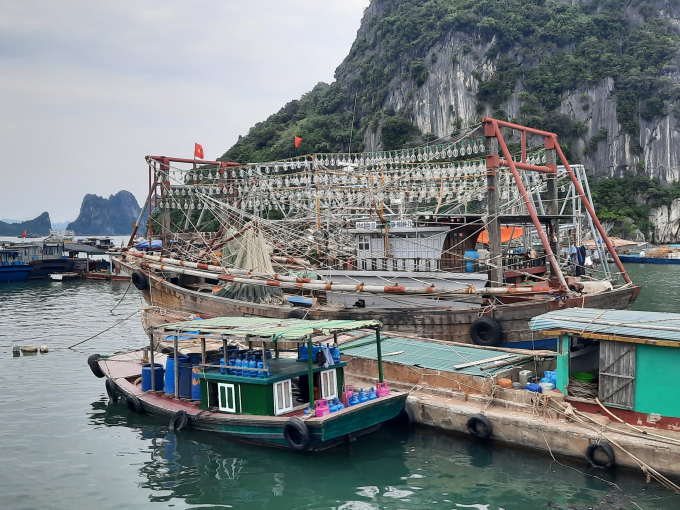 Kinh tế vĩ mô - Quảng Ninh nỗ lực gỡ 'thẻ vàng' thủy sản