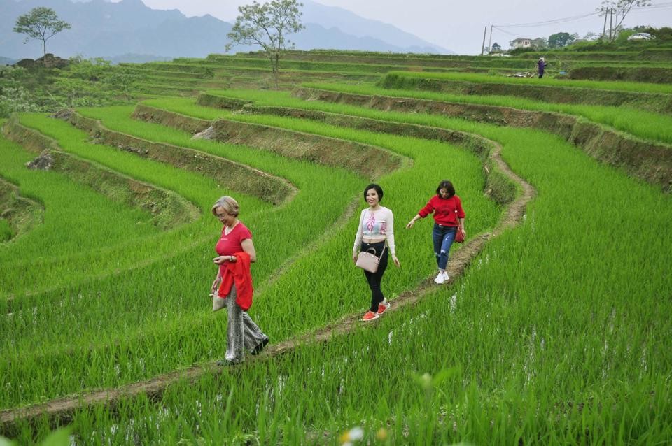 Kinh tế vĩ mô - Ngành du lịch 'trở lại đường đua' và nỗi lo thiếu hụt nhân lực