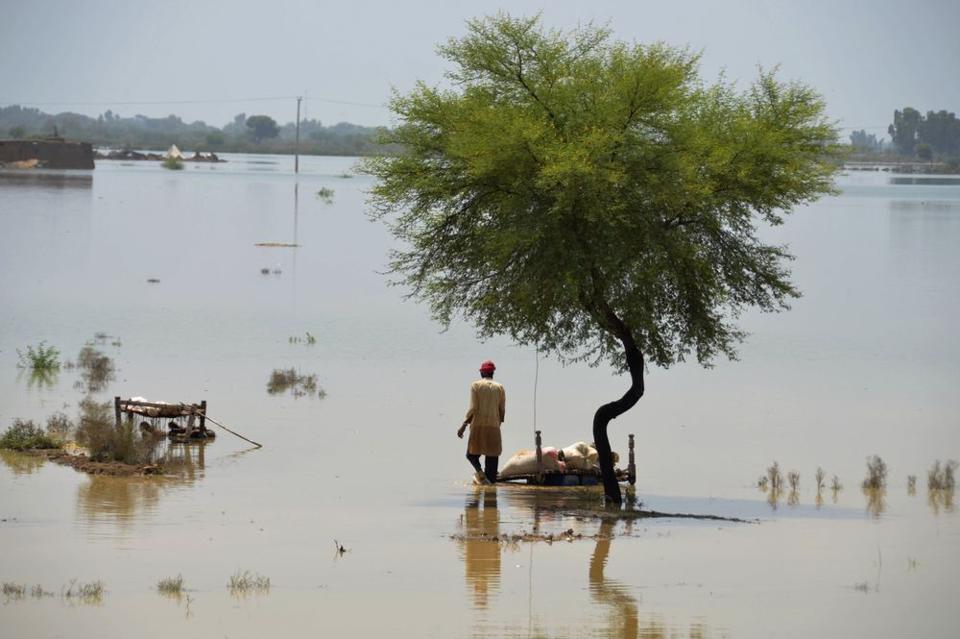 Tiêu điểm thế giới - Hàng nghìn người thiệt mạng vì mưa lũ, Pakistan cầu cứu thế giới 