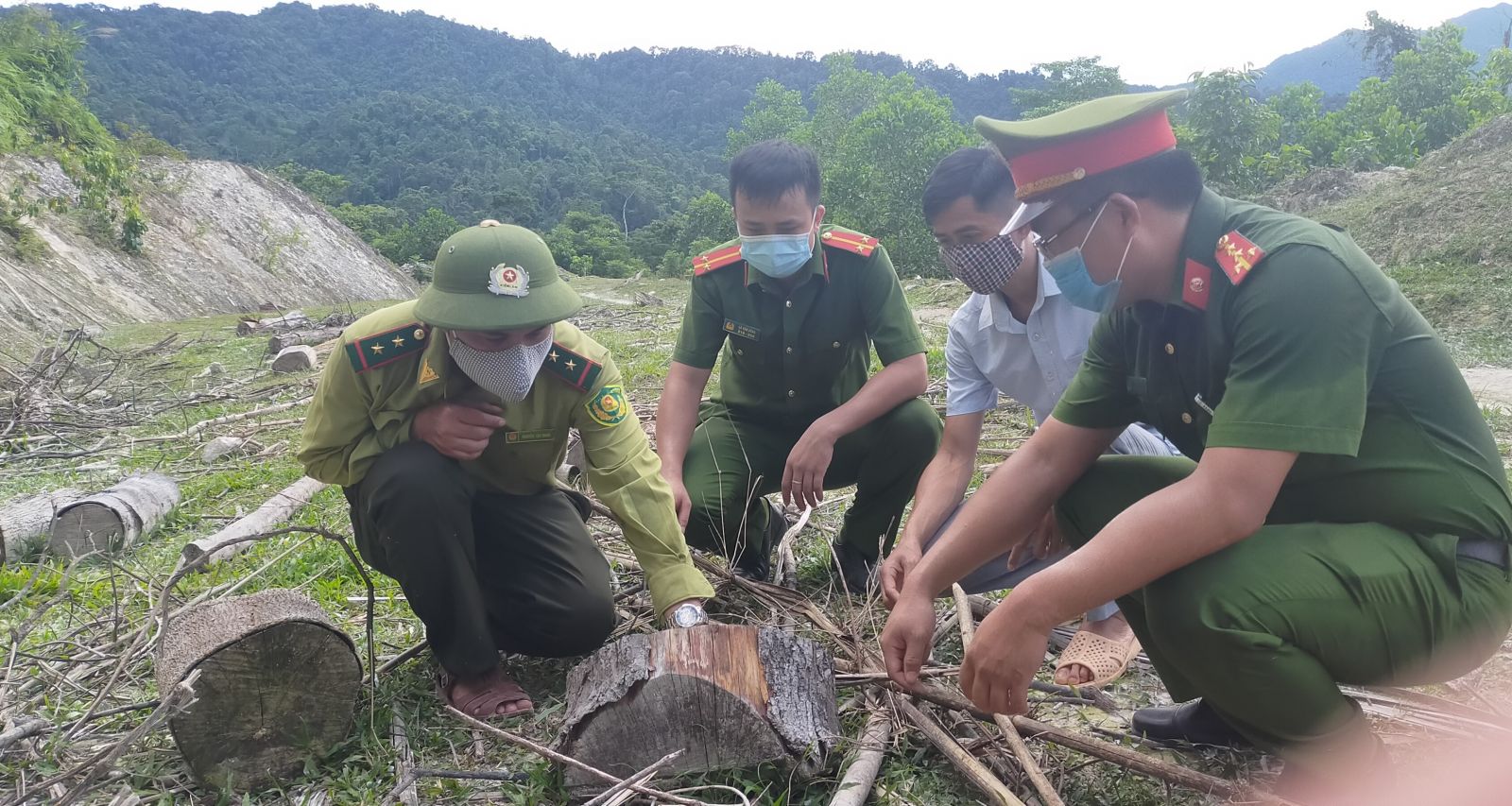 An ninh - Hình sự - Thanh Hoá: Bắt nhóm phá rừng do Chủ tịch MTTQ xã cầm đầu (Hình 2).