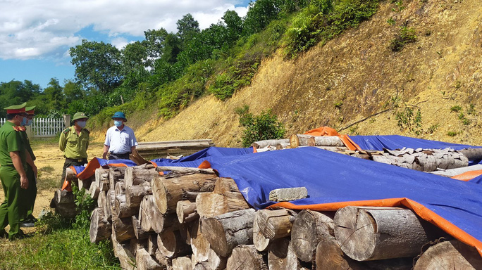 An ninh - Hình sự - Thanh Hoá: Bắt nhóm phá rừng do Chủ tịch MTTQ xã cầm đầu (Hình 3).