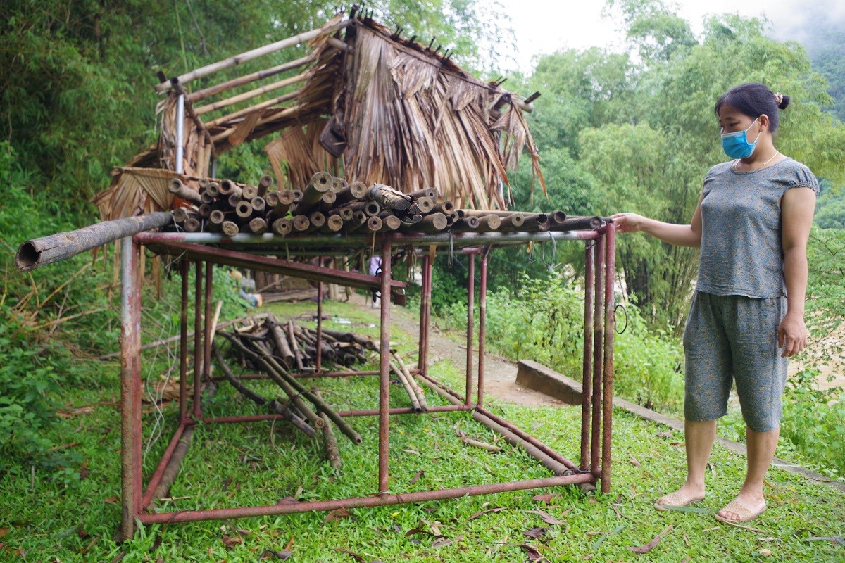 Dân sinh - Thanh Hóa: Cá chết, người nuôi “mắc cạn” chờ bồi thường. (Hình 2).