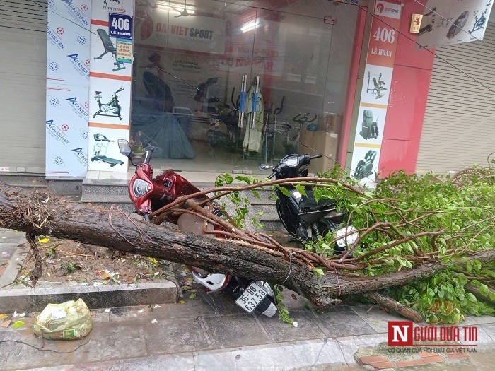 Dân sinh - Lý giải nguyên nhân cây đổ, nước ngập tại Tp.Thanh Hóa (Hình 2).