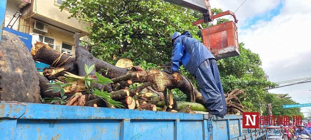 Dân sinh - Cây đổ, ngập cục bộ tại Tp.Thanh Hóa do gió lốc kèm mưa lớn (Hình 6).