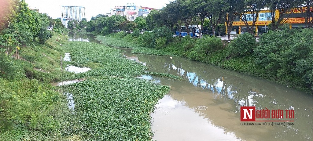 Dân sinh - Cây đổ, ngập cục bộ tại Tp.Thanh Hóa do gió lốc kèm mưa lớn (Hình 12).