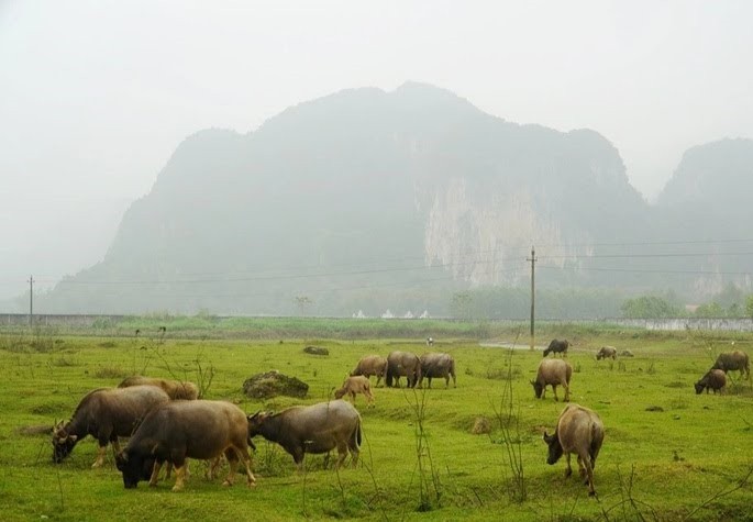 Chính sách - Thanh Hóa: Khắc phục tình trạng 'quy hoạch và dự án treo'