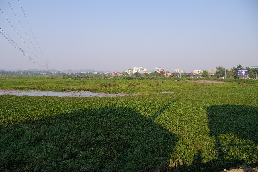 Bất động sản - 'Lùm xùm' xung quanh dự án của Tập đoàn Đất Quảng tại Thanh Hóa (Hình 2).