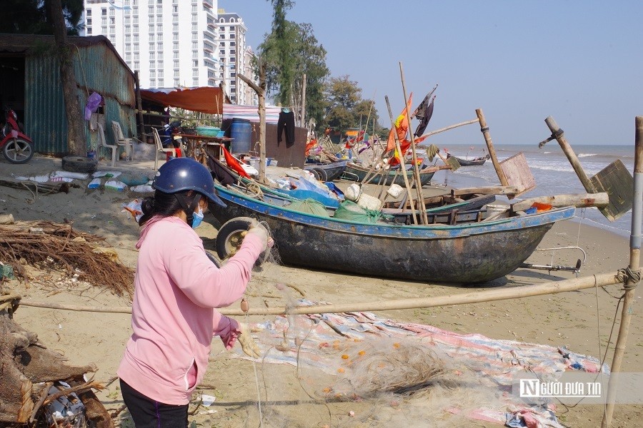 Dân sinh - Hình ảnh bãi biển đẹp nhất miền Bắc trước nguy cơ bị 'nuốt chửng' (Hình 12).