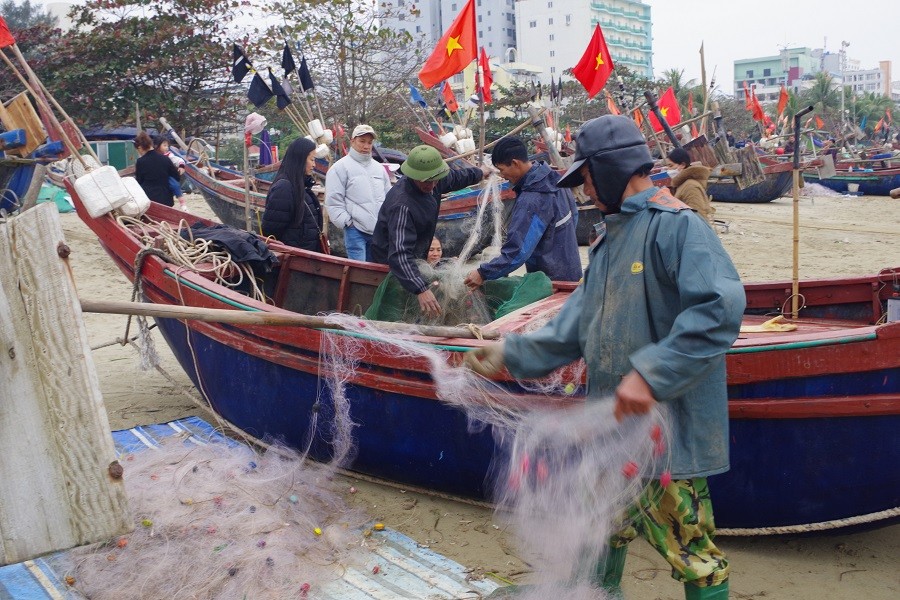 Dân sinh - Thanh Hóa: Ngư dân phấn khởi 'đi thấp' kiếm tiền triệu ngày đầu năm (Hình 3).