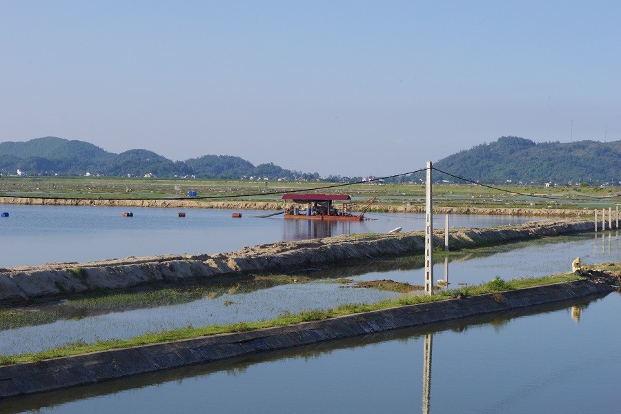 Dân sinh - Thanh Hóa: Lãnh đạo Sở NN&PTNT thông tin việc đê sông Yên bị nứt (Hình 4).