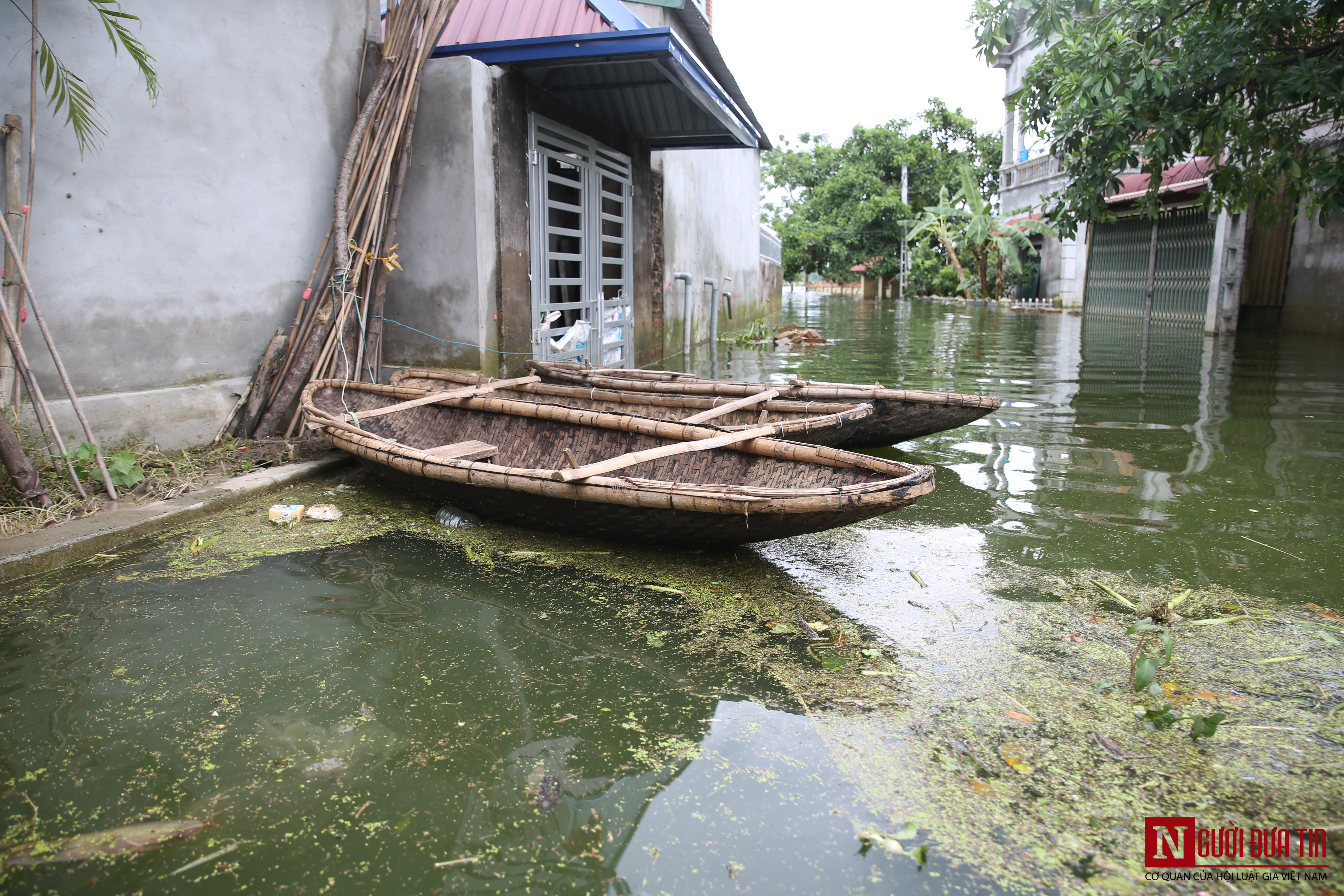 Xã hội - Lênh đênh thuyền thúng giữa lòng Chương Mỹ (Hình 4).