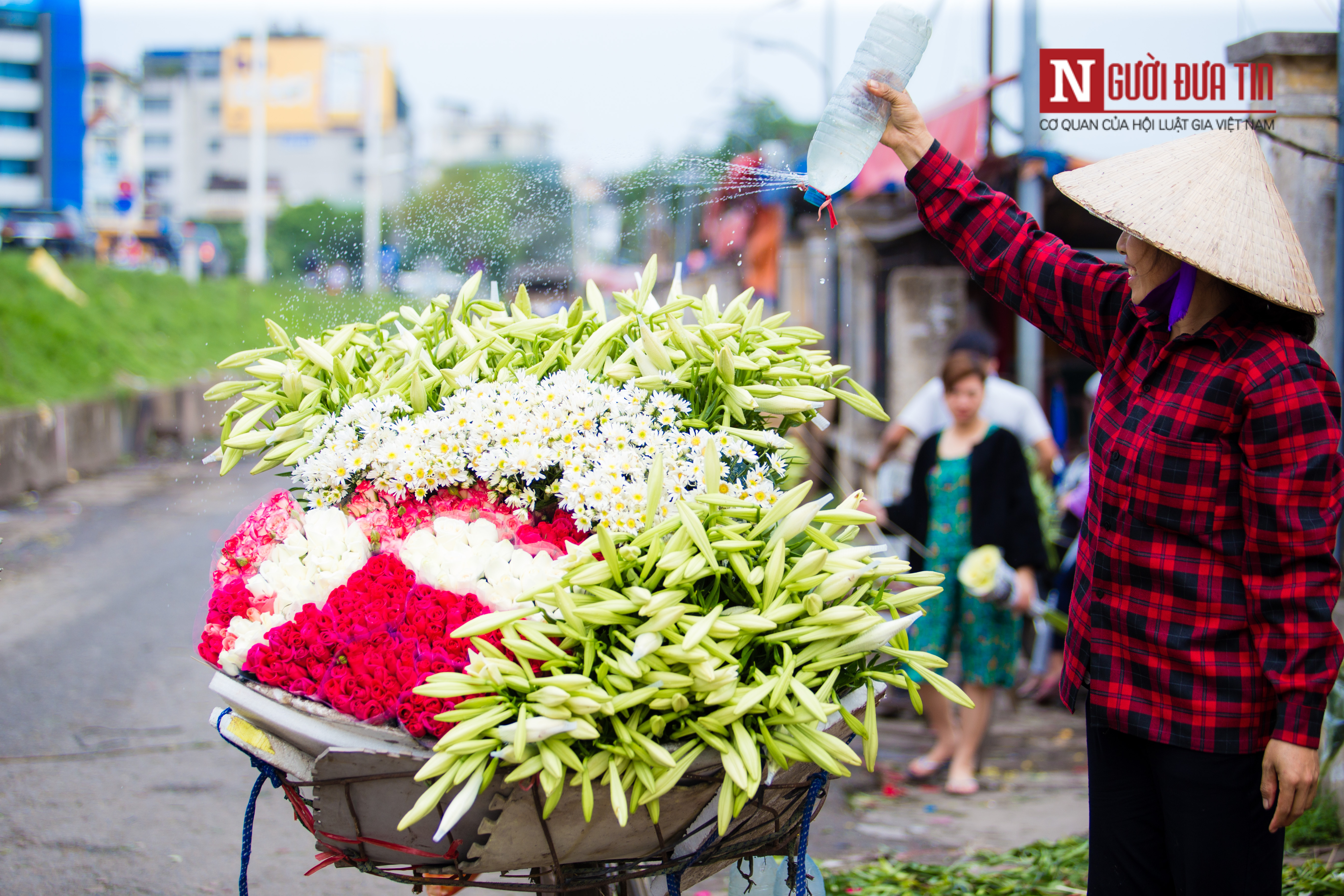 Tin nhanh - Hà Nội ngây ngất trước vẻ đẹp của hoa loa kèn những ngày tháng 4 (Hình 8).