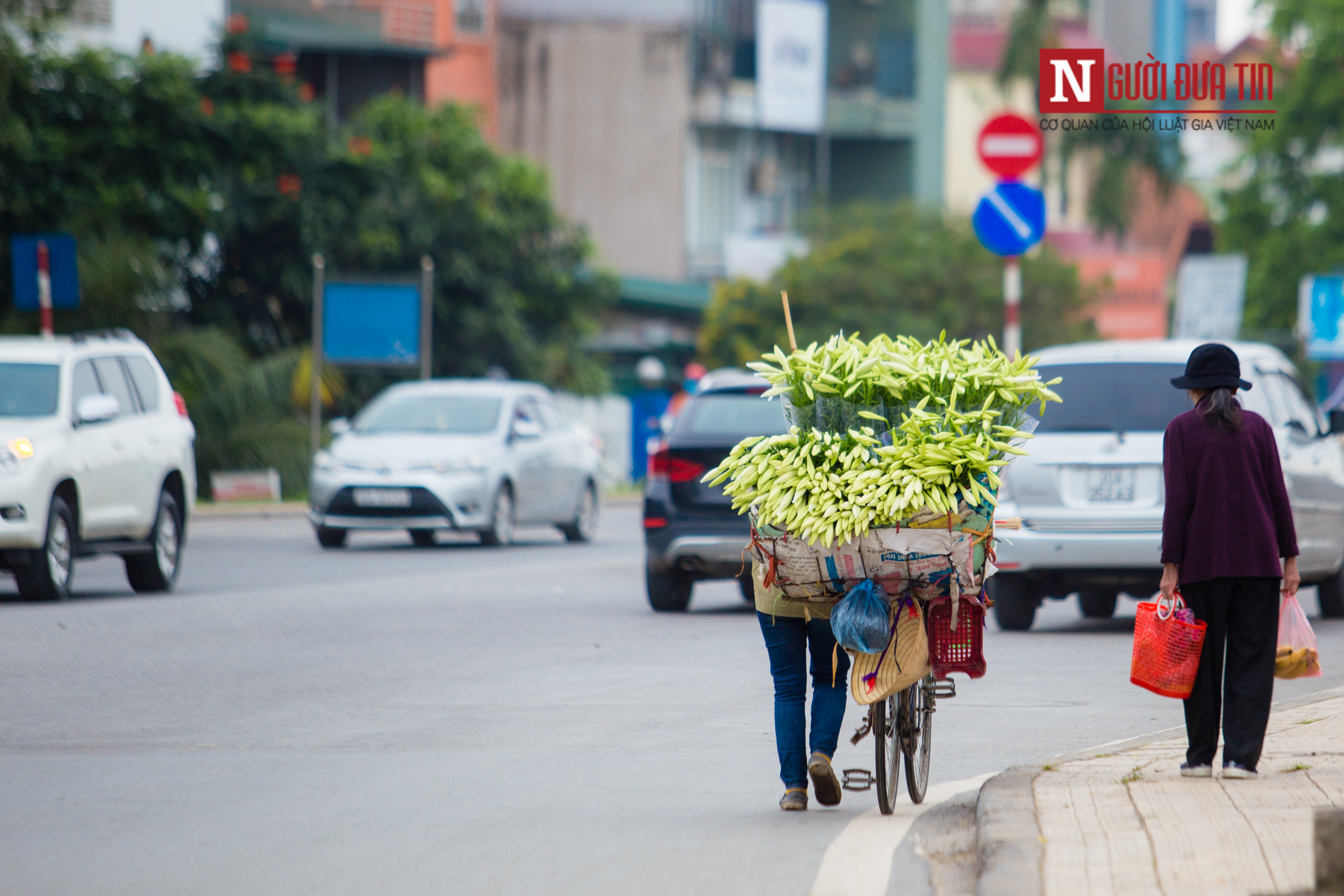 Tin nhanh - Hà Nội ngây ngất trước vẻ đẹp của hoa loa kèn những ngày tháng 4 (Hình 13).