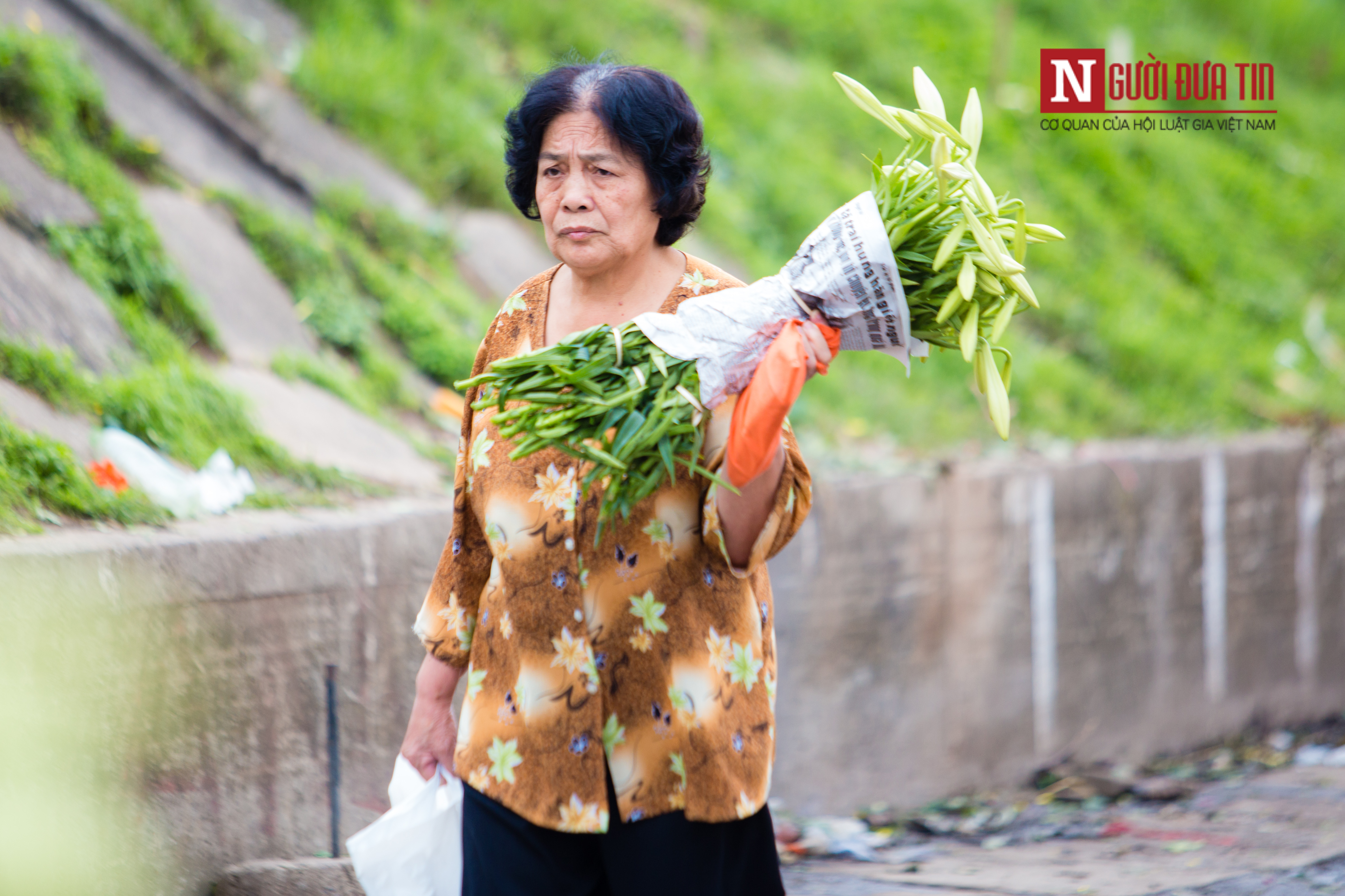 Tin nhanh - Hà Nội ngây ngất trước vẻ đẹp của hoa loa kèn những ngày tháng 4 (Hình 11).