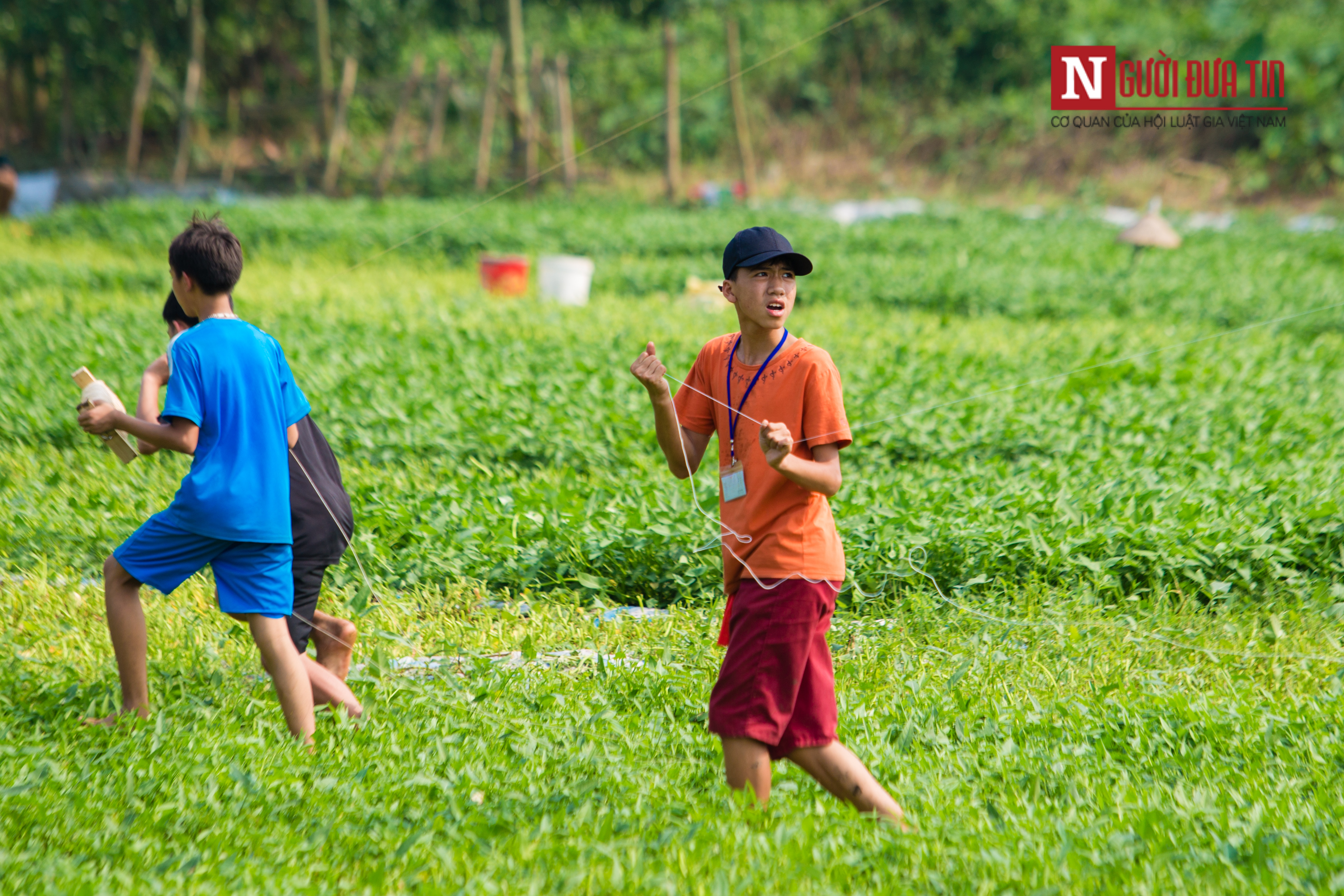 Tin nhanh - [Chùm ảnh] Ngày hội làng thả diều - Cho tôi xin một vé đi tuổi thơ (Hình 5).