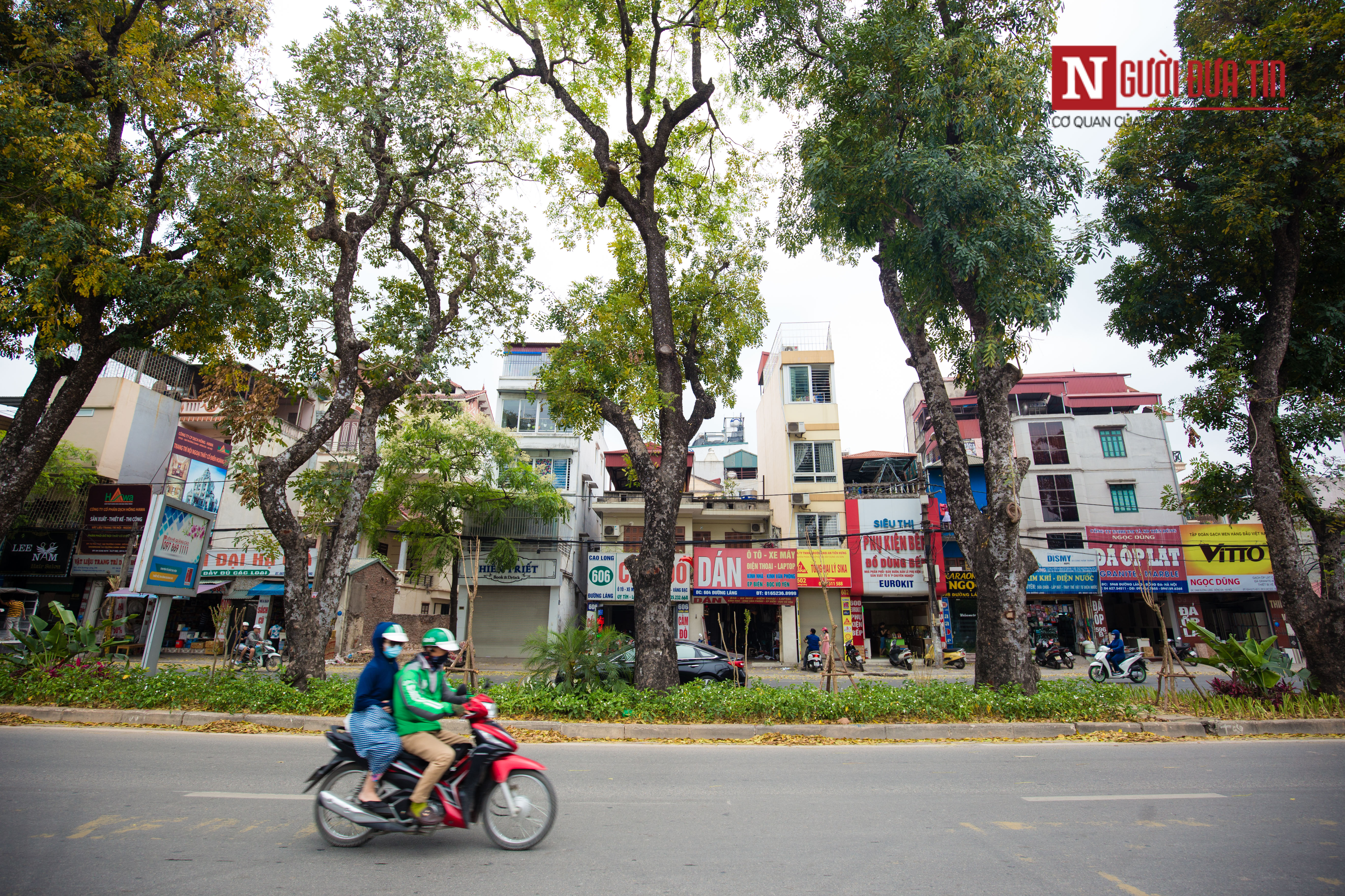 Tin nhanh - Chùm ảnh: 'Áo mới xanh mát' của đường Láng (Hình 3).