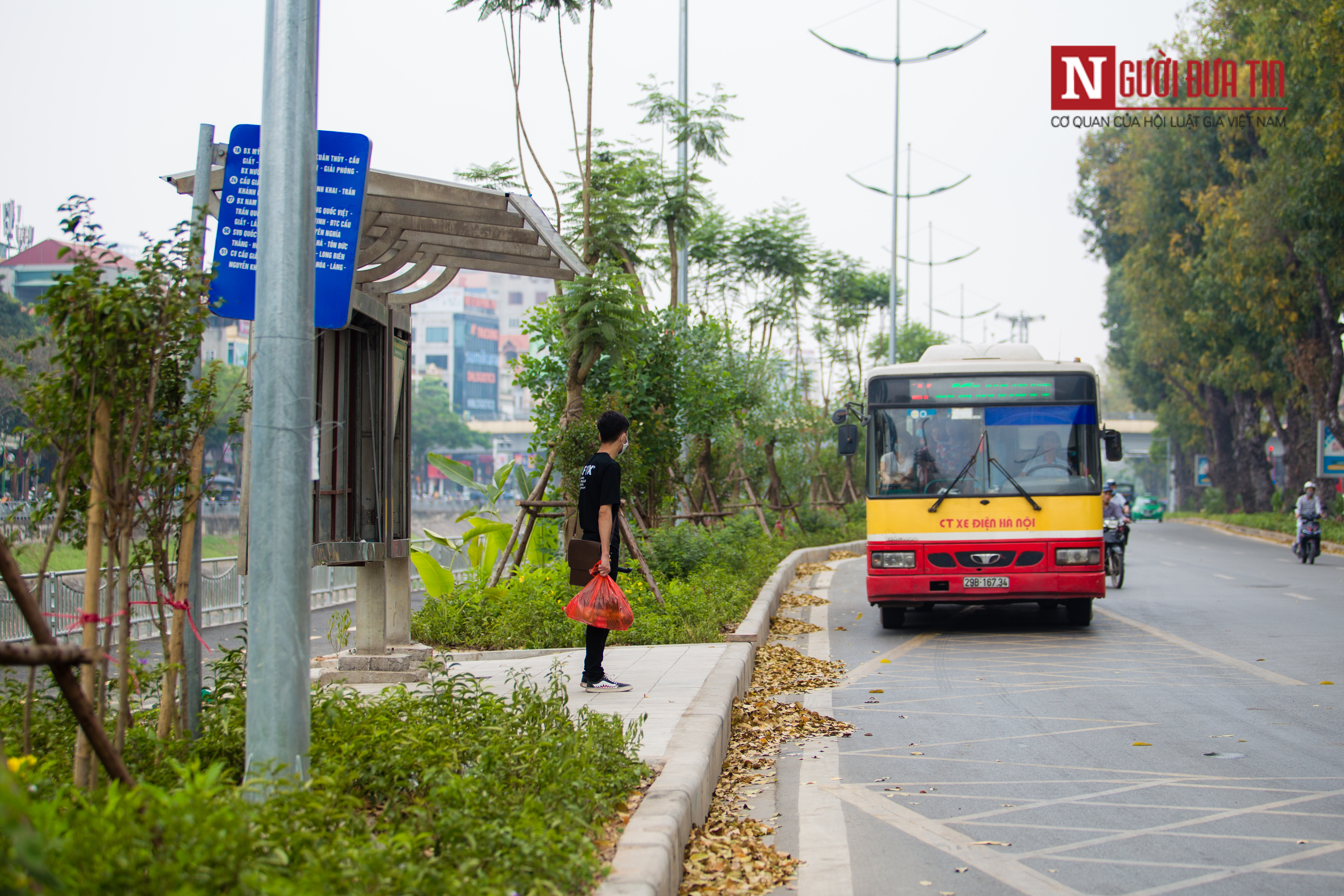 Tin nhanh - Chùm ảnh: 'Áo mới xanh mát' của đường Láng (Hình 10).