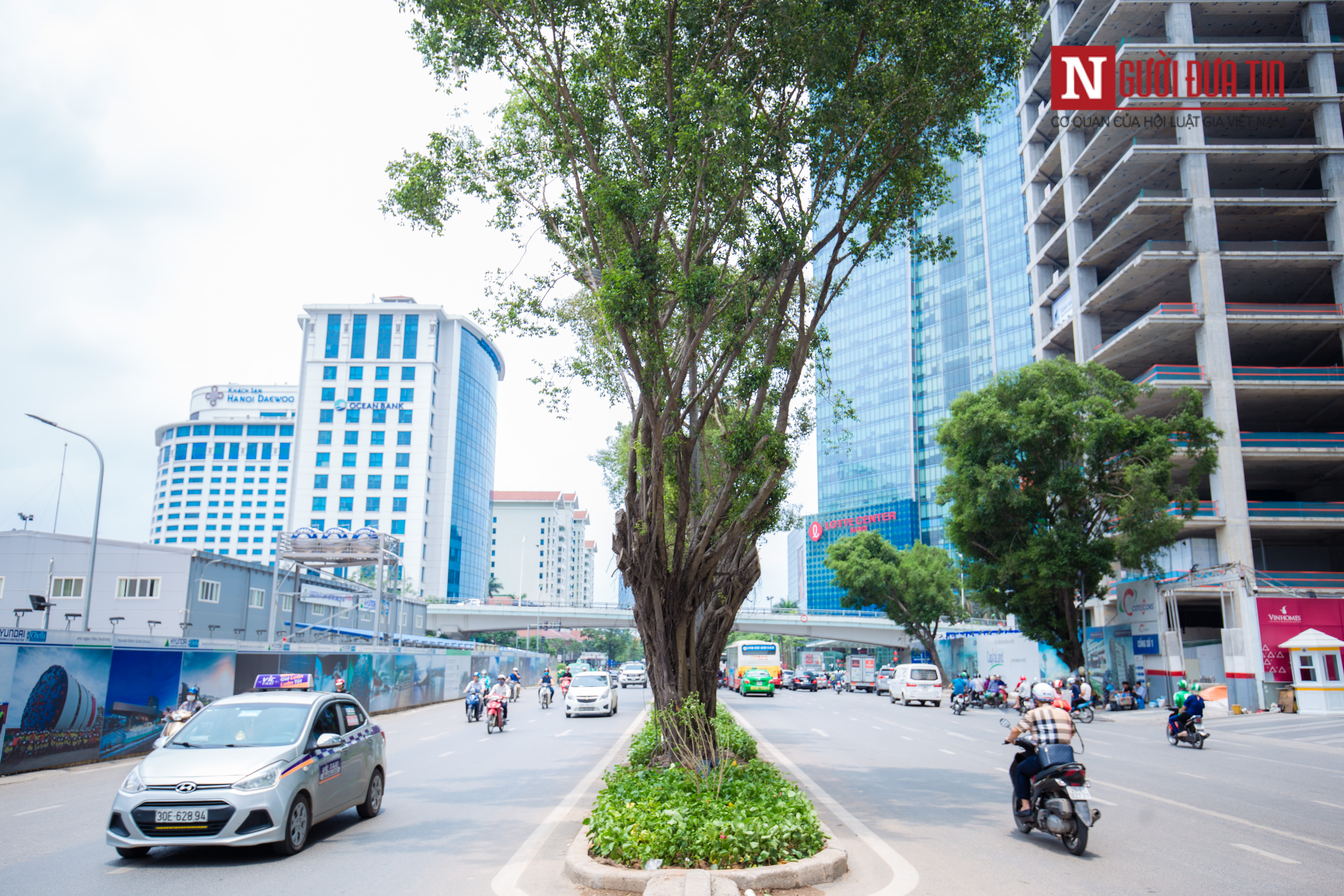 Môi trường - [Chùm ảnh] 'Áo mới' đường Kim Mã xanh mát mắt ngày hè