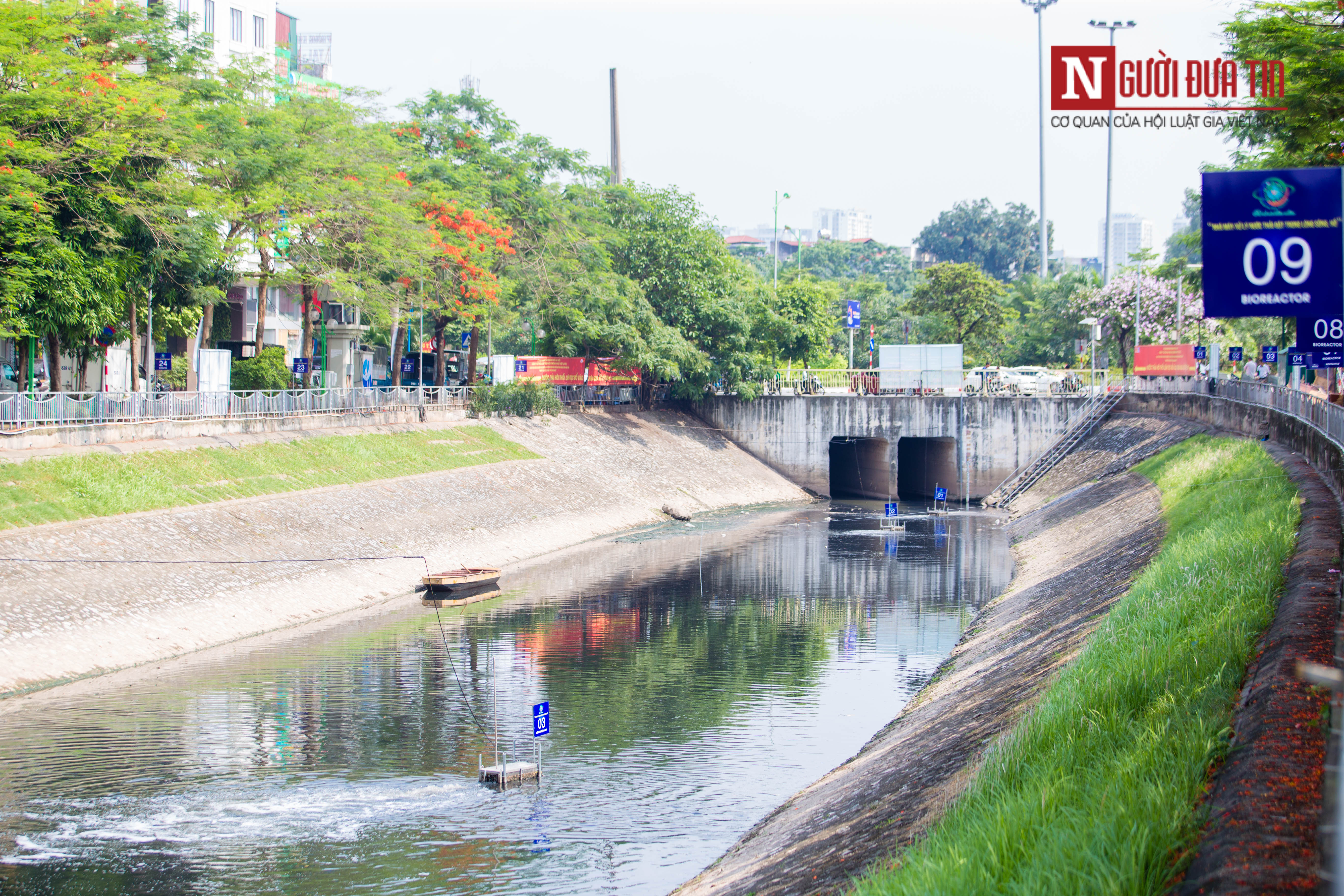 Môi trường - Nước sông Tô Lịch 'đổi đen thay xanh' sau khi sử dụng công nghệ nano