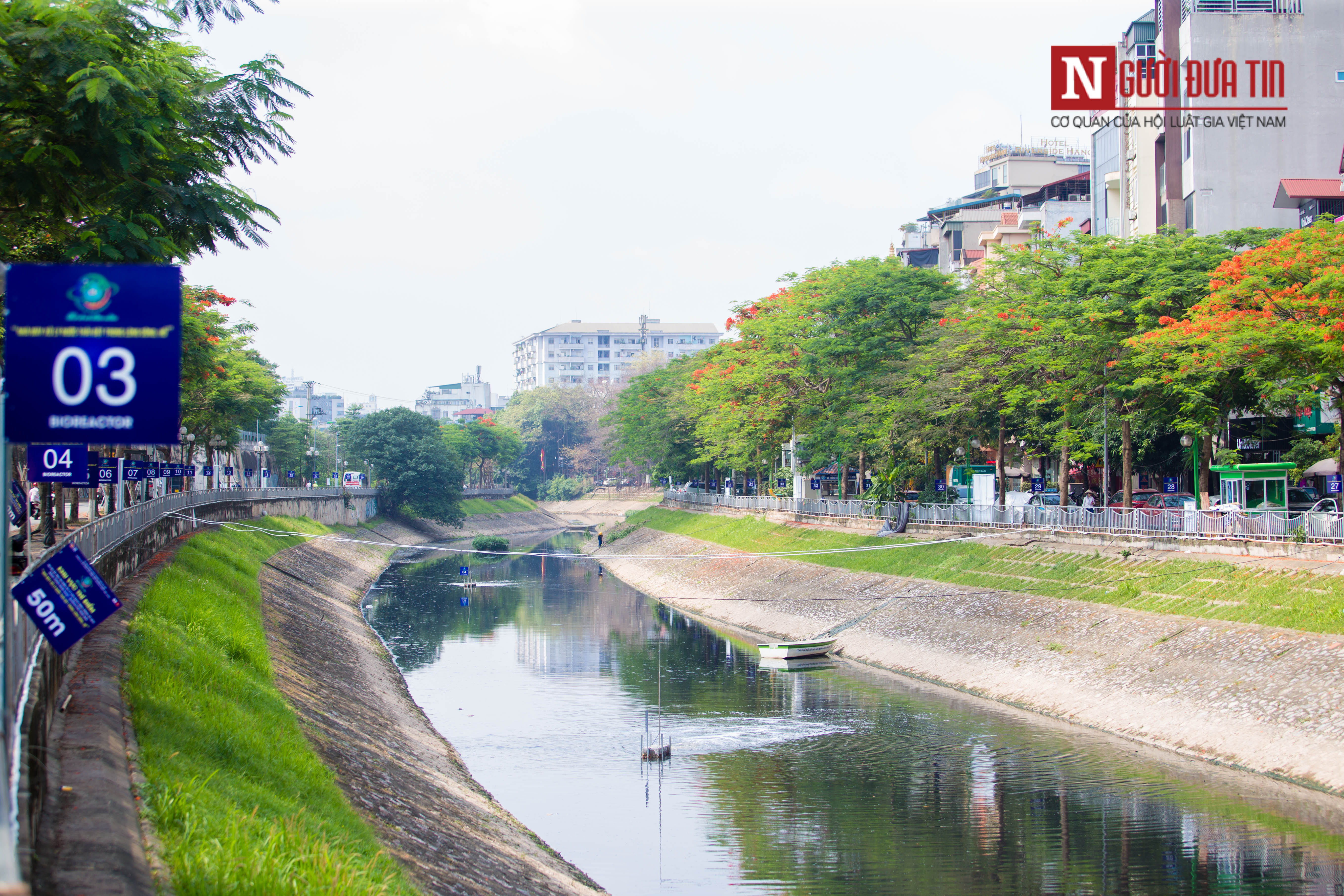 Môi trường - Người dân Hà Nội thích thú câu cá tại sông Tô Lịch đang hồi sinh (Hình 10).