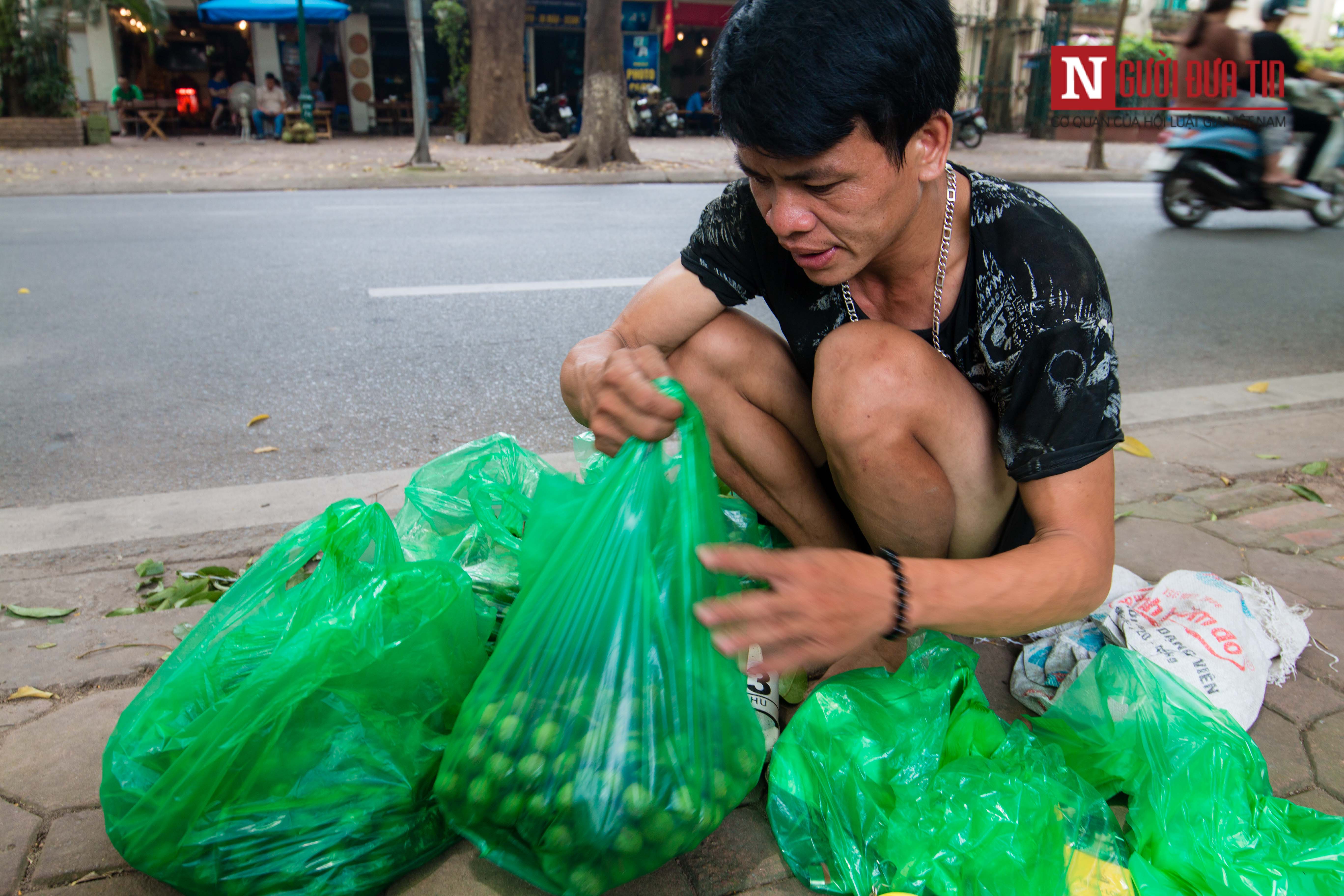 Tin nhanh - Bất chấp mạo hiểm, người dân đánh đu trên các cành cây cao hái sấu, thu tiền triệu mỗi ngày (Hình 10).