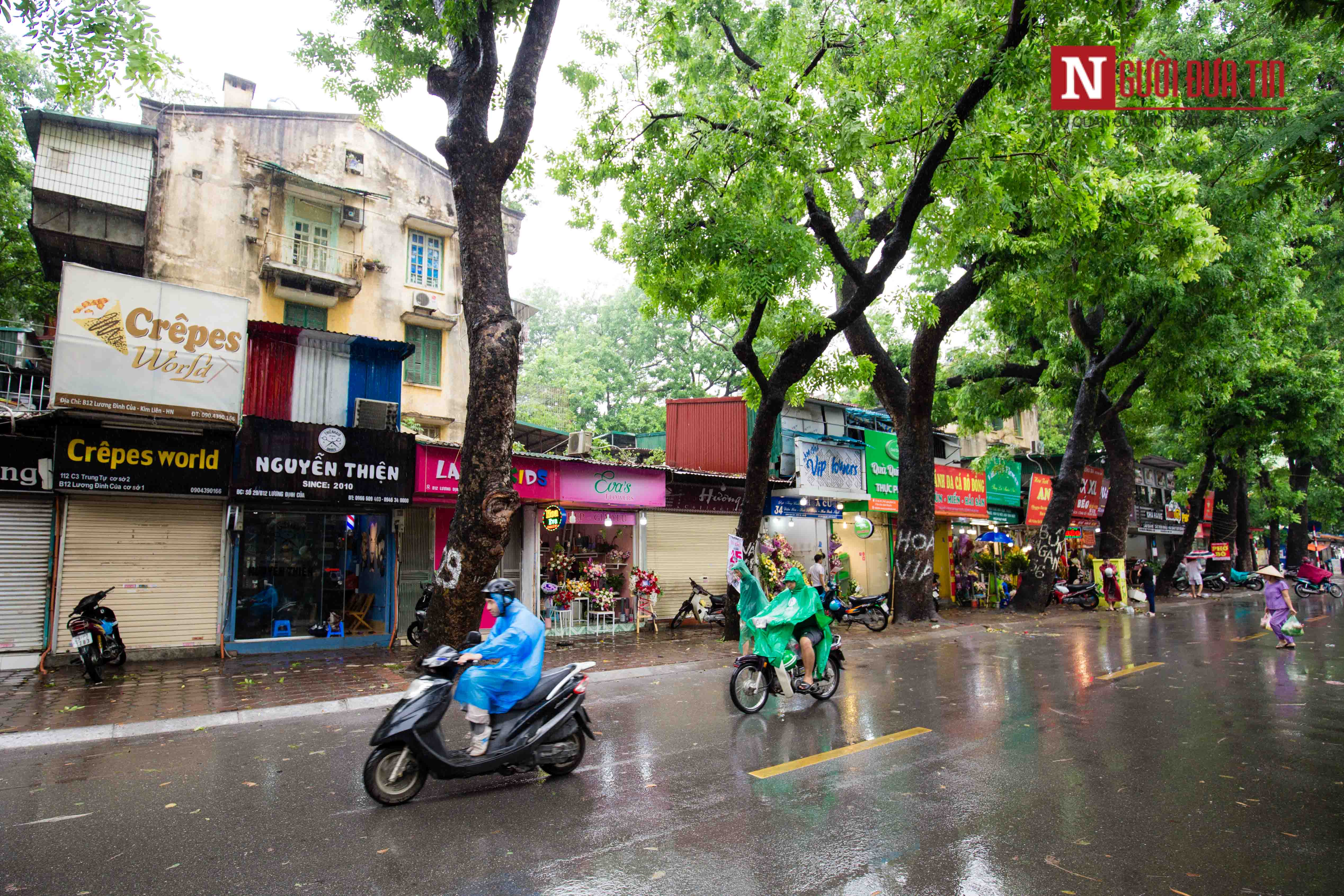 Tin nhanh - Hà Nội: Cận cảnh khu tập thể cũ 'cây mọc xuyên nhà' (Hình 2).