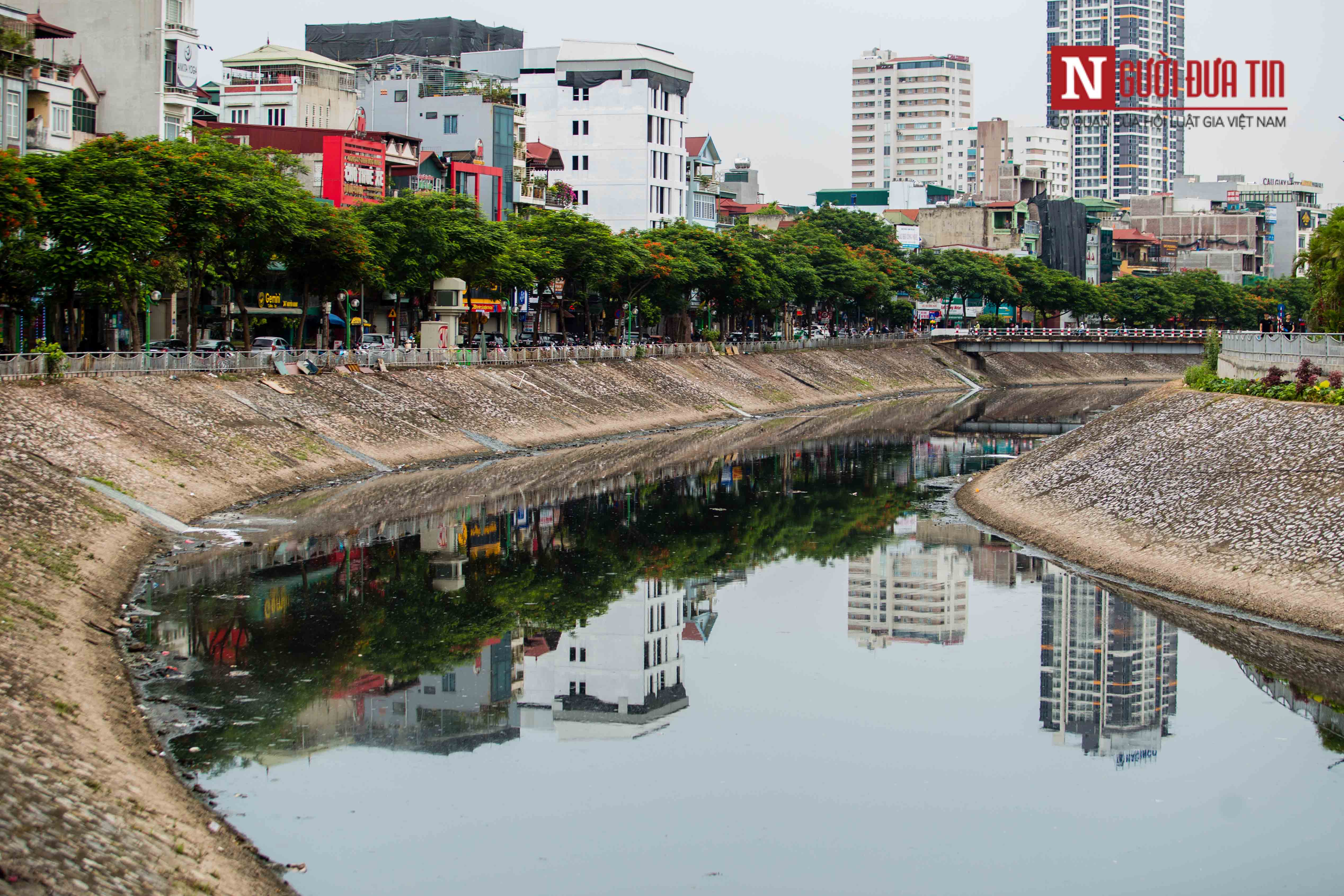 Tin nhanh - Cận cảnh ngưng xả nước, sông Tô Lịch lại đen xì, cá chết trắng 2 bên bờ (Hình 9).