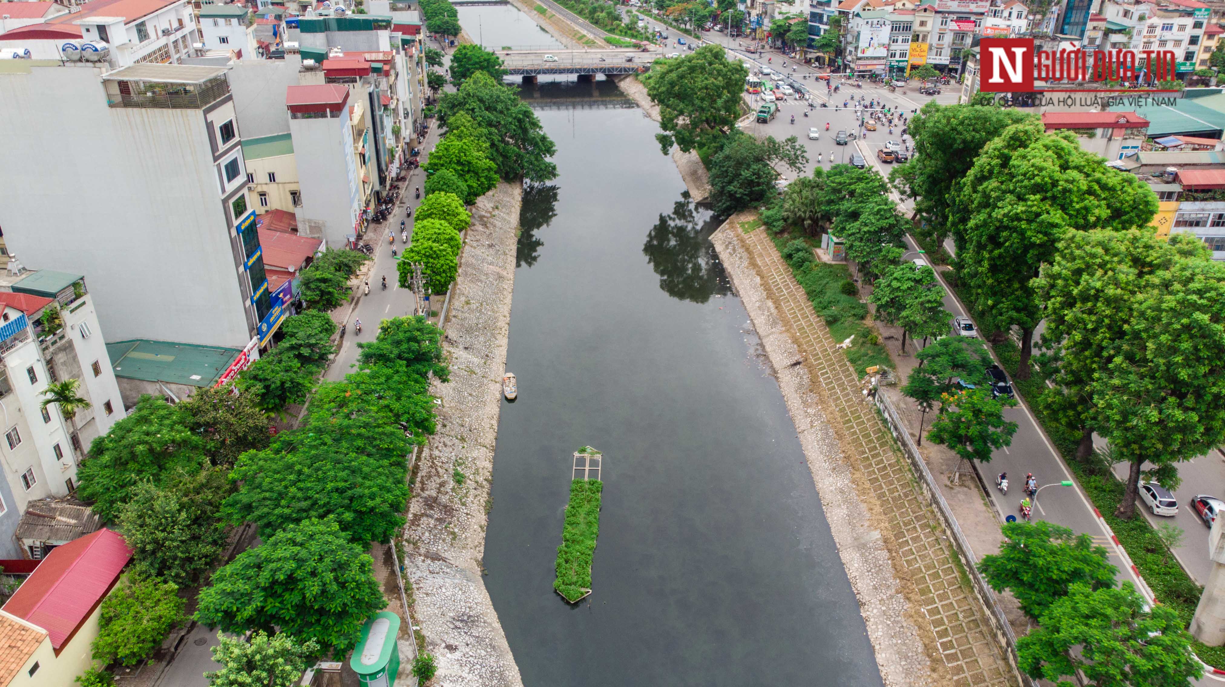 Tin nhanh - Cận cảnh ngưng xả nước, sông Tô Lịch lại đen xì, cá chết trắng 2 bên bờ