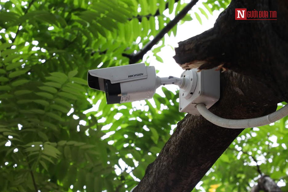 Môi trường - Lắp camera theo dõi cá Koi ở sông Tô Lịch (Hình 8).