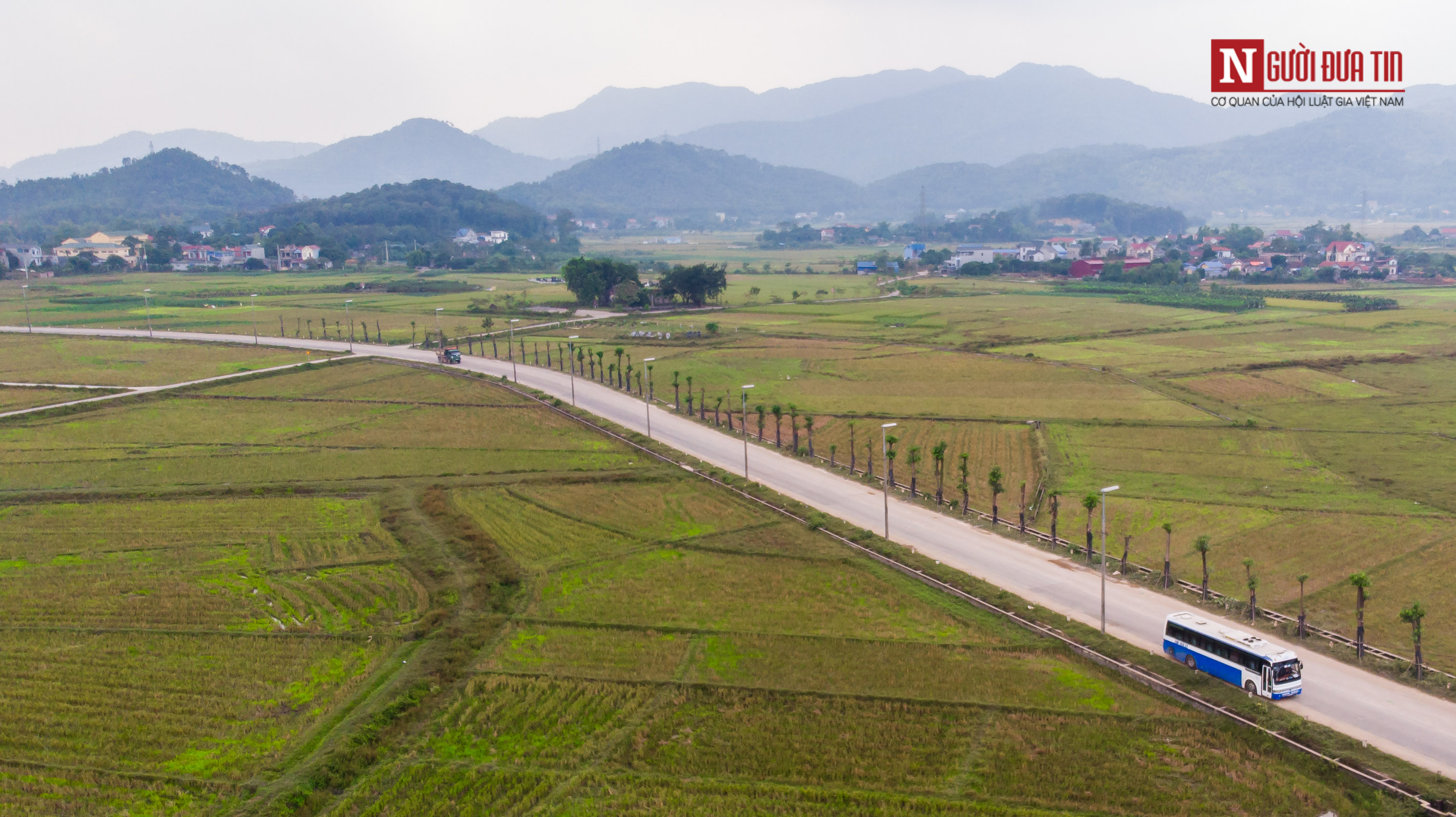 Tin nhanh - Gần 100 cây hoa sữa di chuyển lên bãi rác Nam Sơn giờ ra sao? (Hình 3).