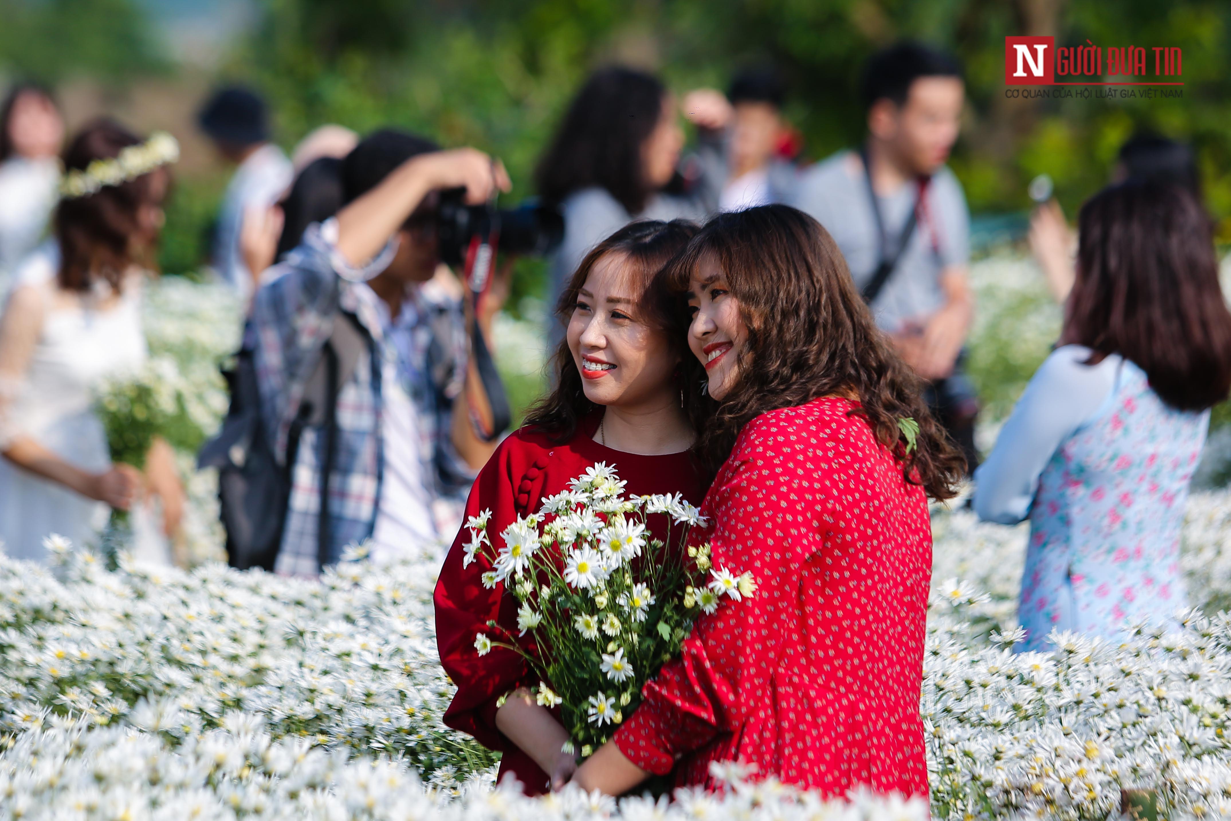 Tin nhanh - Hàng trăm người đội nắng khoe dáng bên cúc hoạ mi (Hình 10).