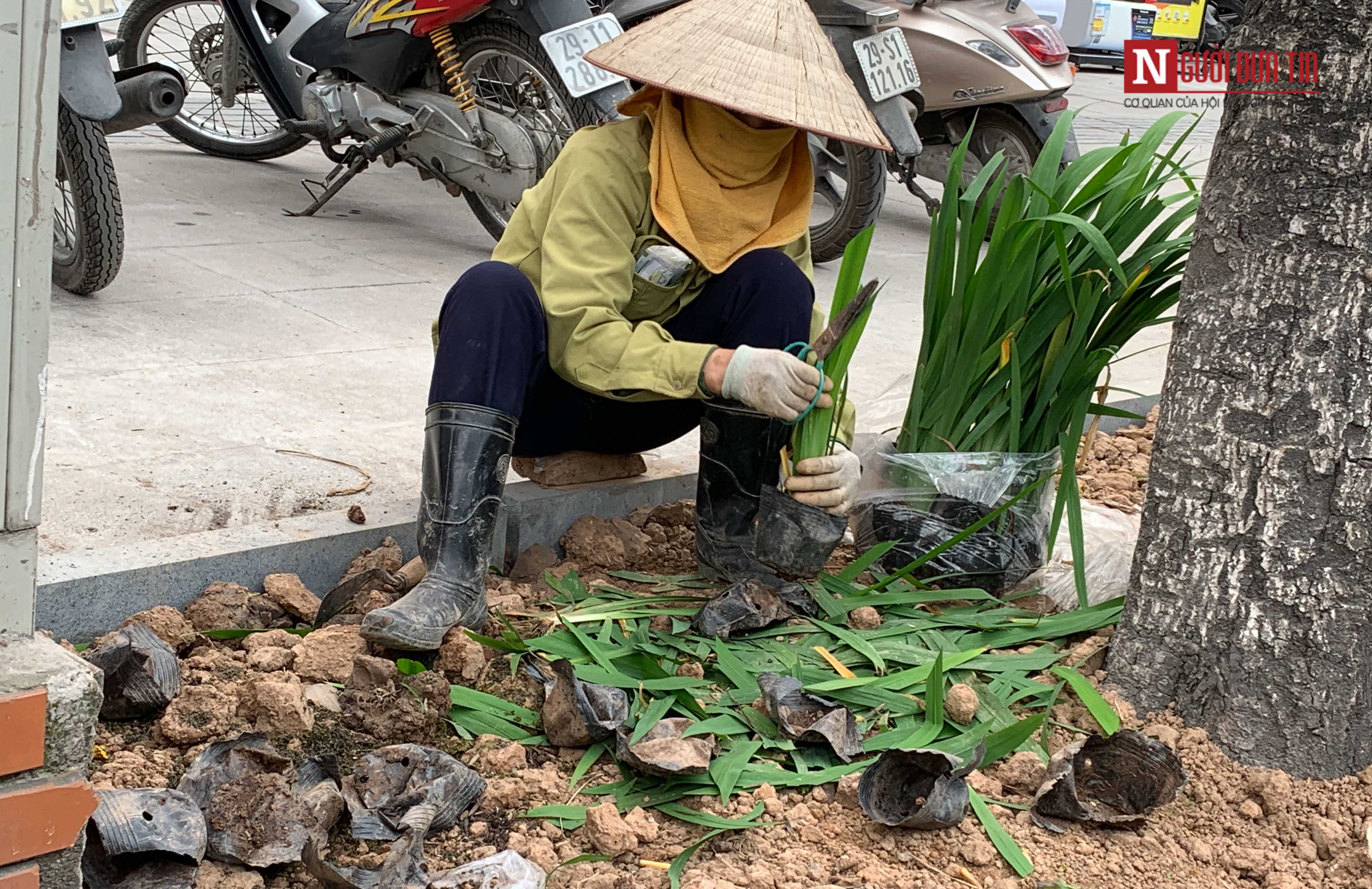 Dân sinh - Chi 36 tỷ đồng 'thay áo mới' cho vỉa hè tuyến đường đông đúc bậc nhất Thủ đô (Hình 17).