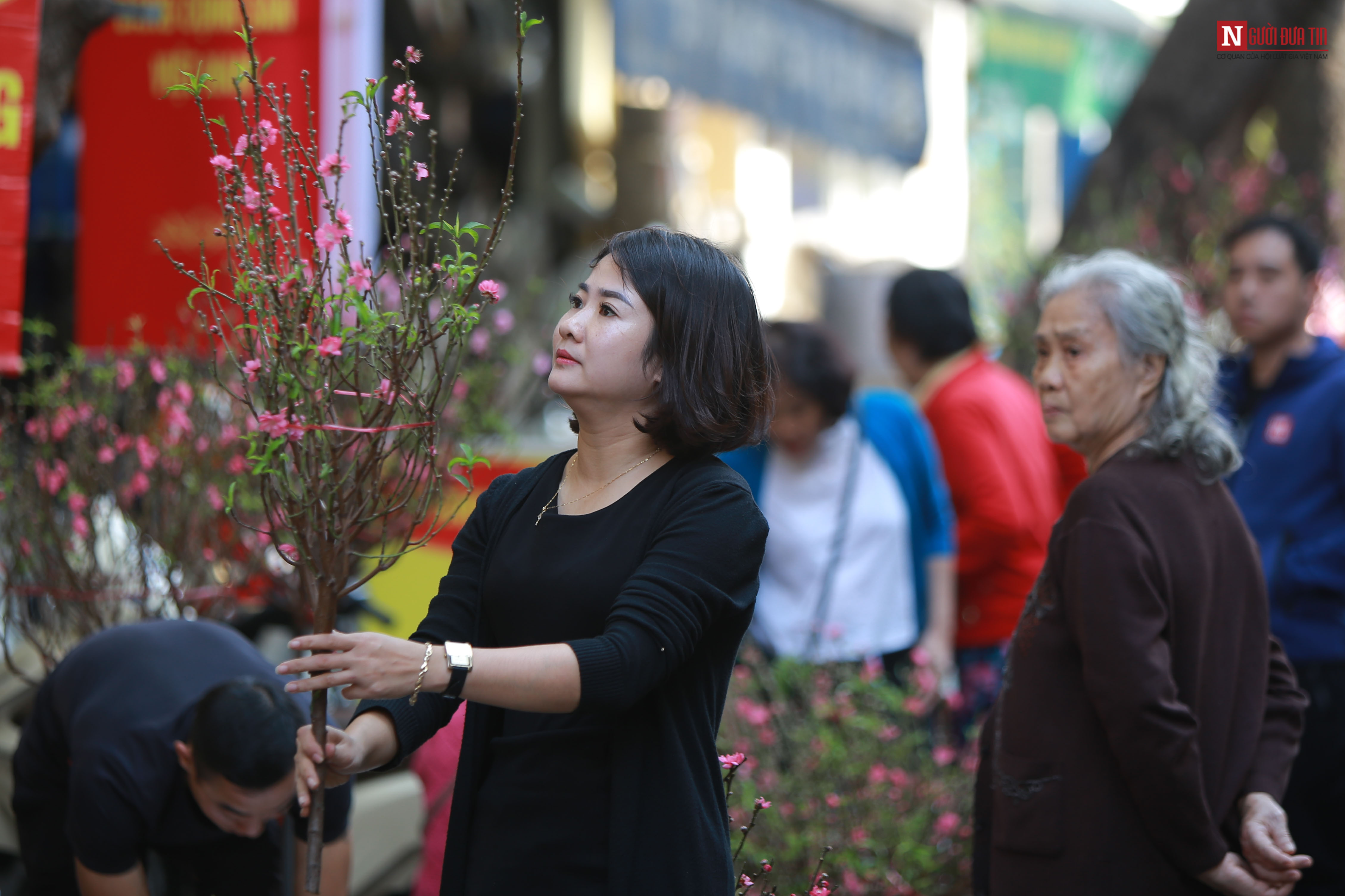 Tin nhanh - Chùm ảnh: Độc đáo chợ hoa mỗi năm chỉ mở một lần ở Hà Nội (Hình 3).