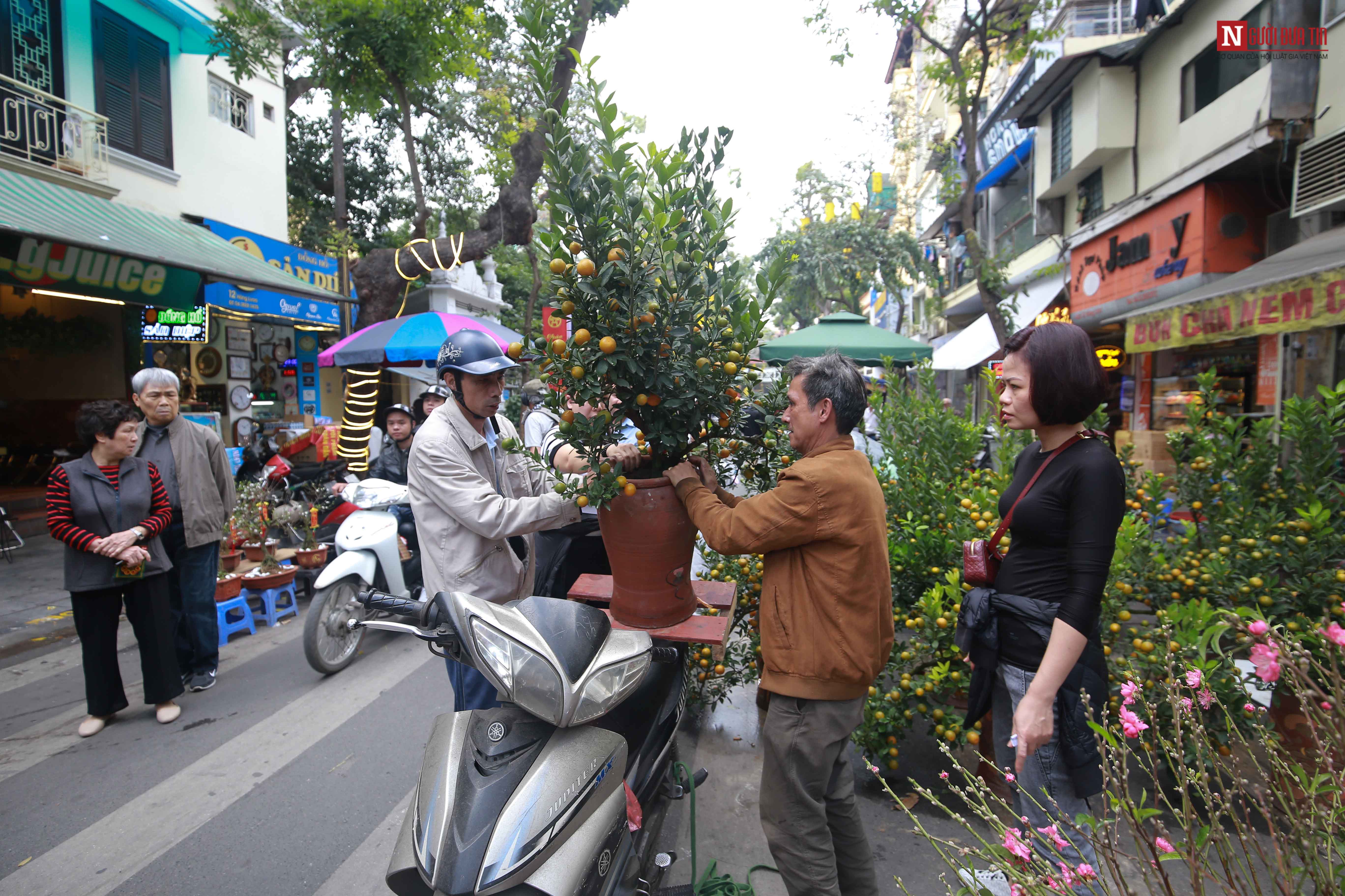 Tin nhanh - Chùm ảnh: Độc đáo chợ hoa mỗi năm chỉ mở một lần ở Hà Nội (Hình 9).