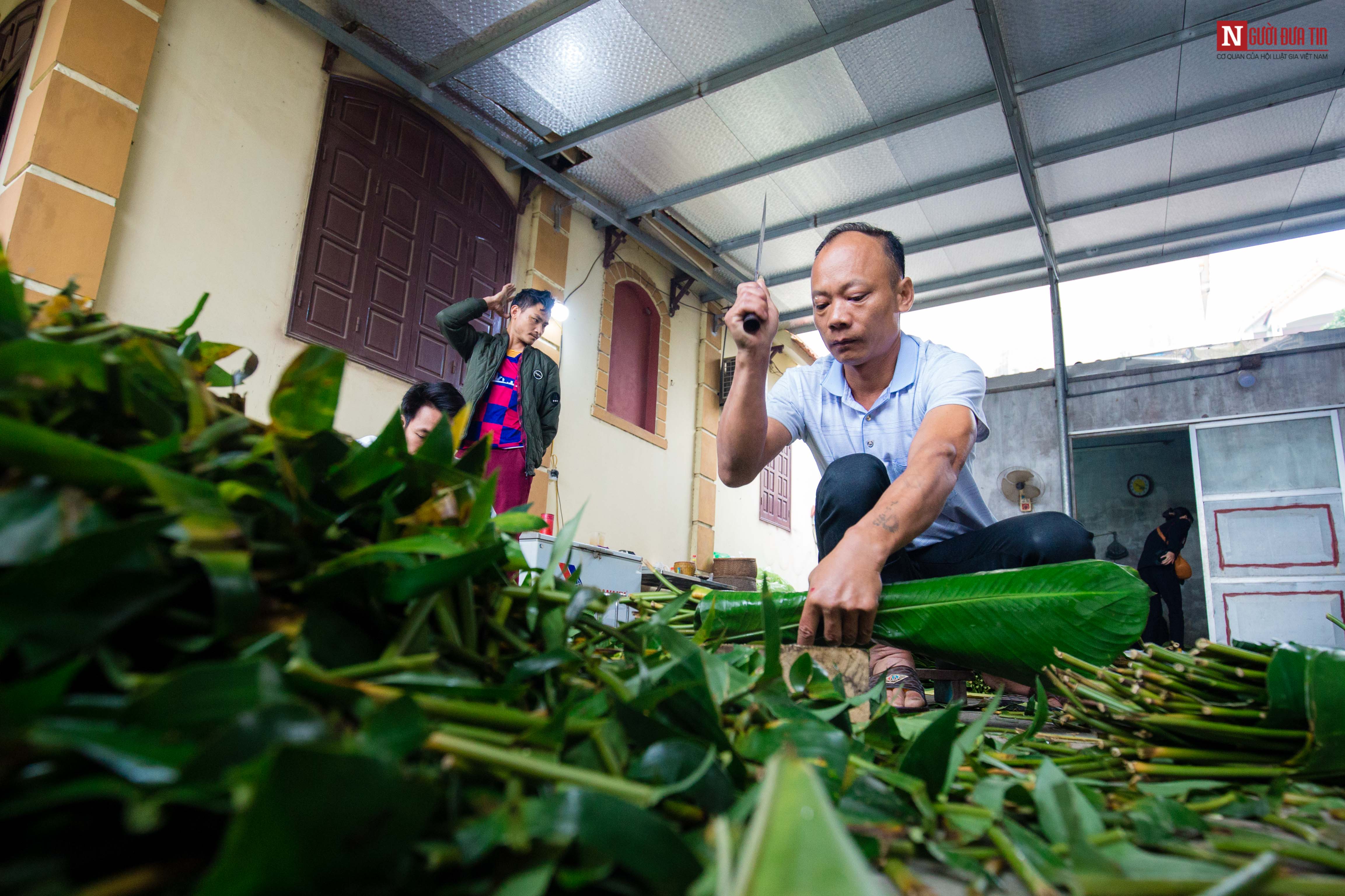 Tin nhanh - Làng bánh chưng thức xuyên đêm gói bánh “chạy đua” phục vụ Tết Nguyên đán (Hình 3).