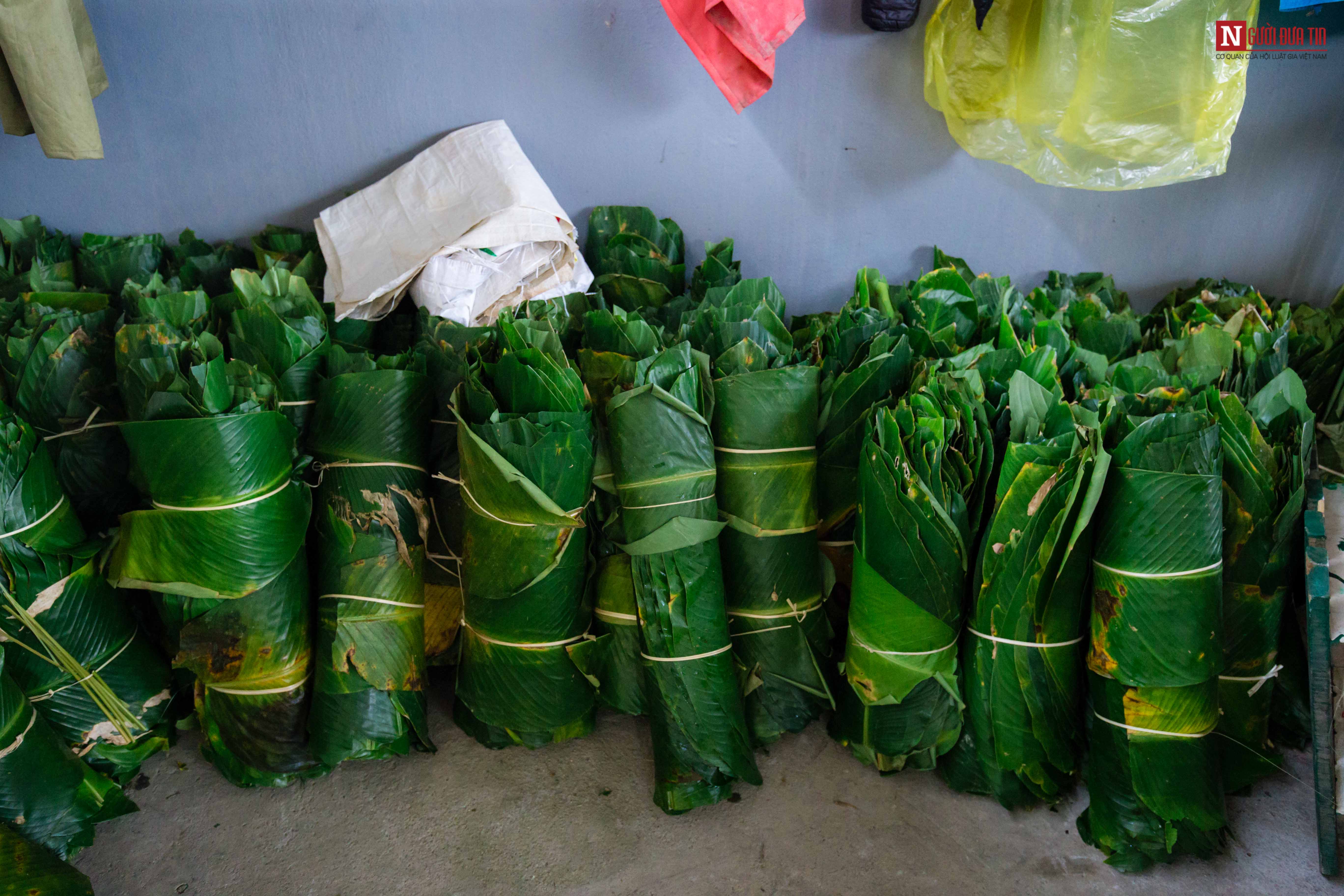 Tin nhanh - Làng bánh chưng thức xuyên đêm gói bánh “chạy đua” phục vụ Tết Nguyên đán (Hình 5).