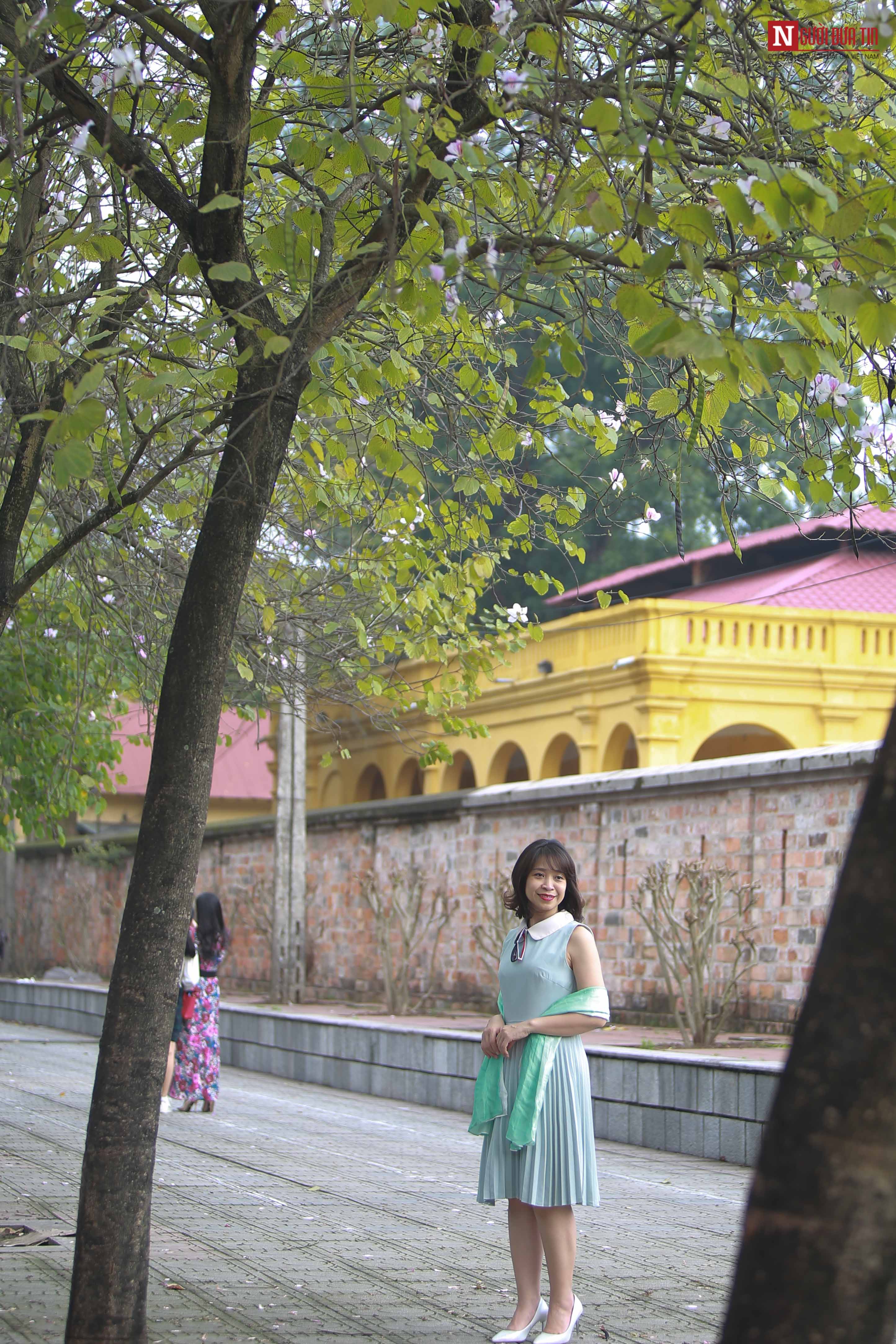 Tin nhanh - Chiêm ngưỡng loài hoa của núi rừng Tây Bắc giữa lòng Hà Nội (Hình 8).