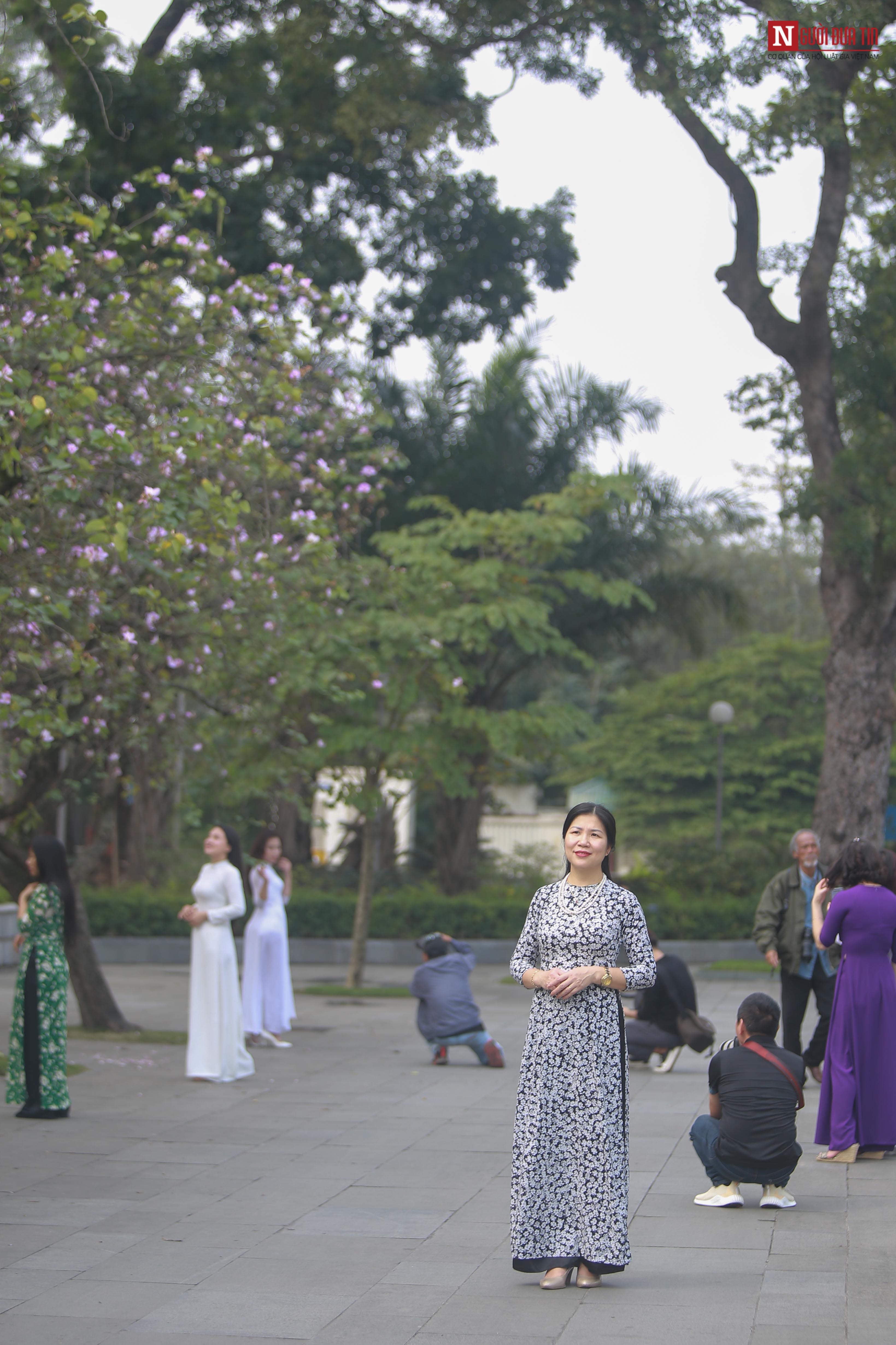 Tin nhanh - Chiêm ngưỡng loài hoa của núi rừng Tây Bắc giữa lòng Hà Nội (Hình 10).