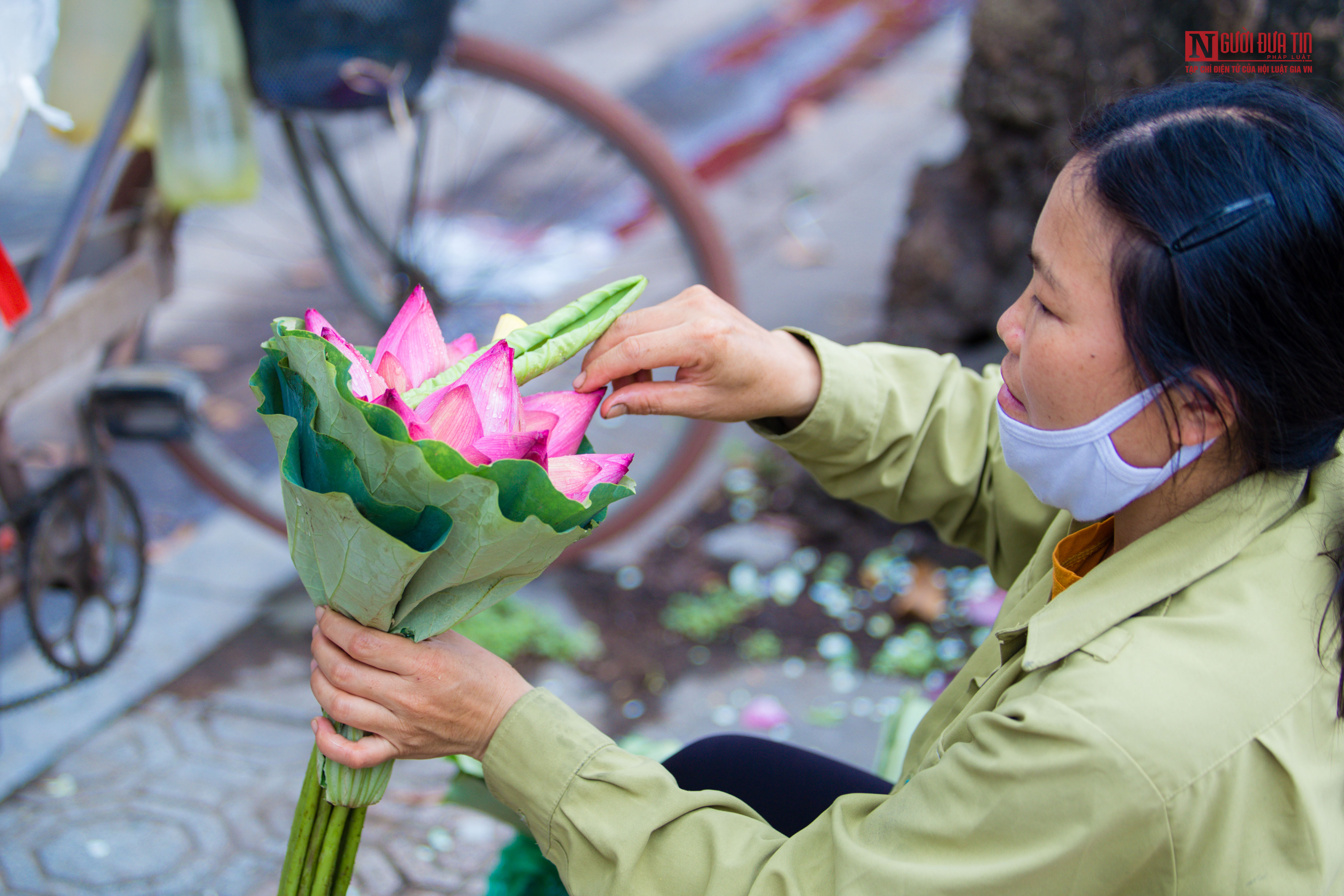 Tin nhanh - Hoa sen đầu mùa rong ruổi khắp phố phường Hà Nội (Hình 6).