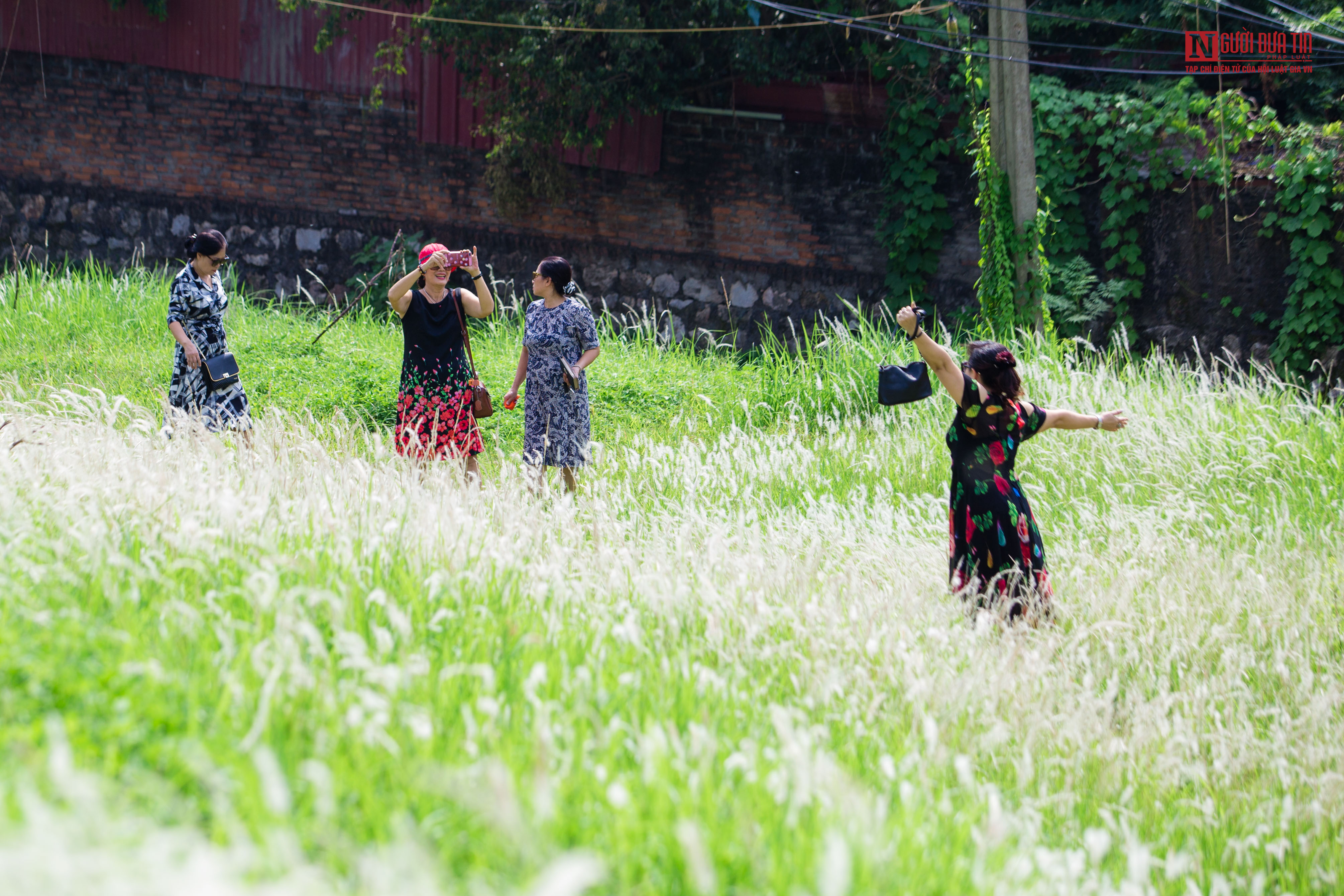 Tin nhanh - Hà Nội vào thu đẹp say đắm lòng người  (Hình 12).