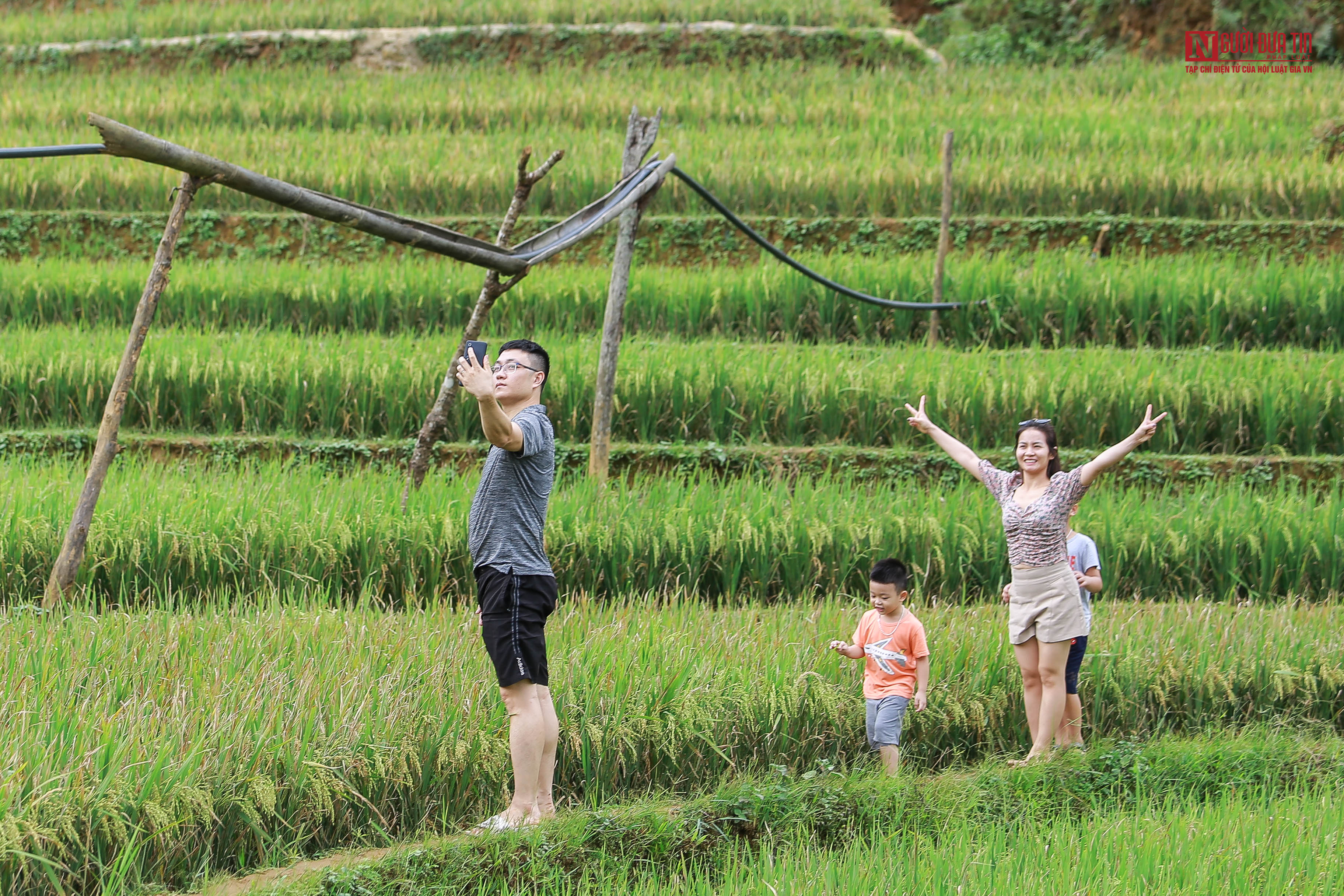 Dân sinh - Du khách đổ xô đi chụp ảnh tại đồi mâm xôi La Pán Tẩn - Mù Cang Chải (Hình 13).